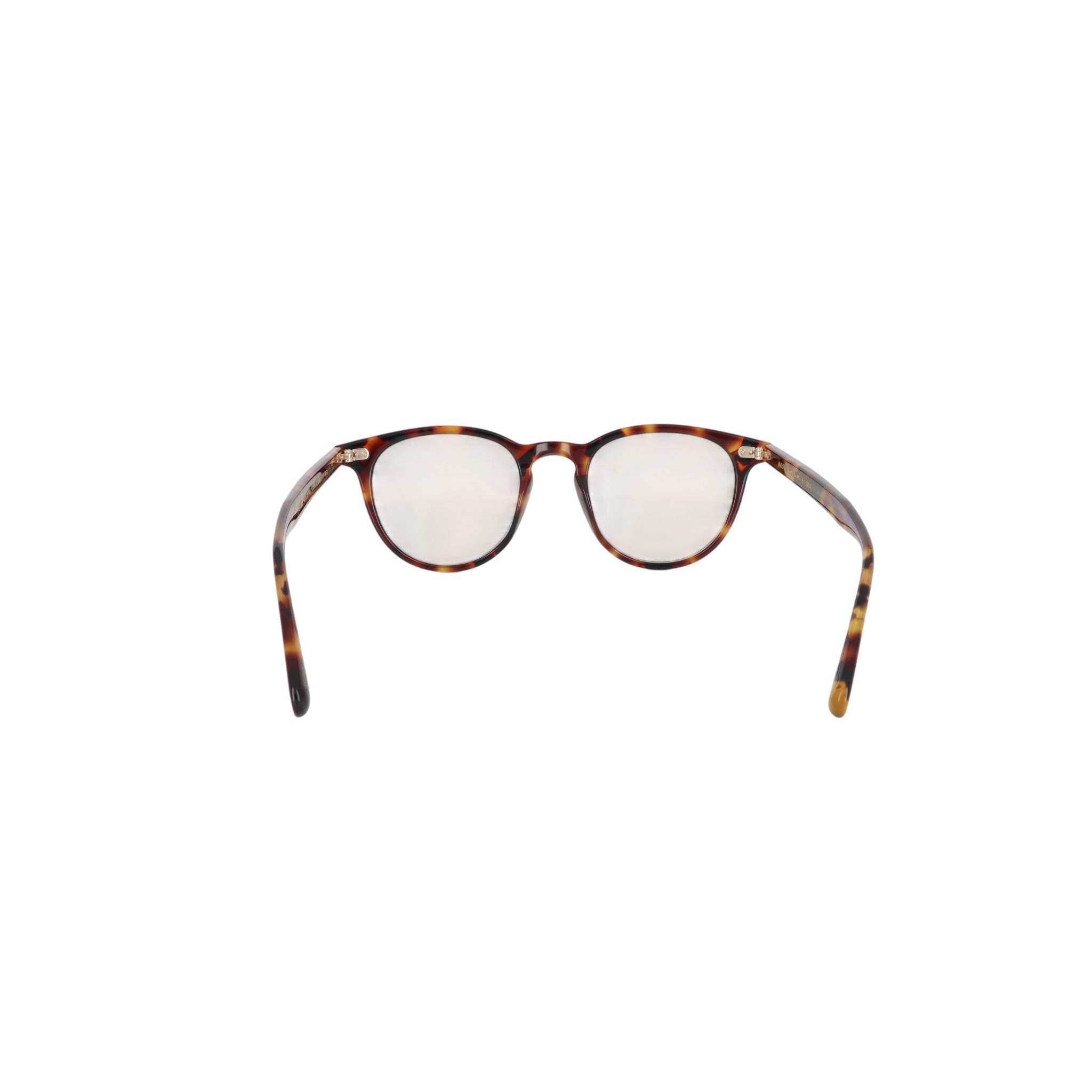 MOSCOT M JARED NV - Jorge Oculista