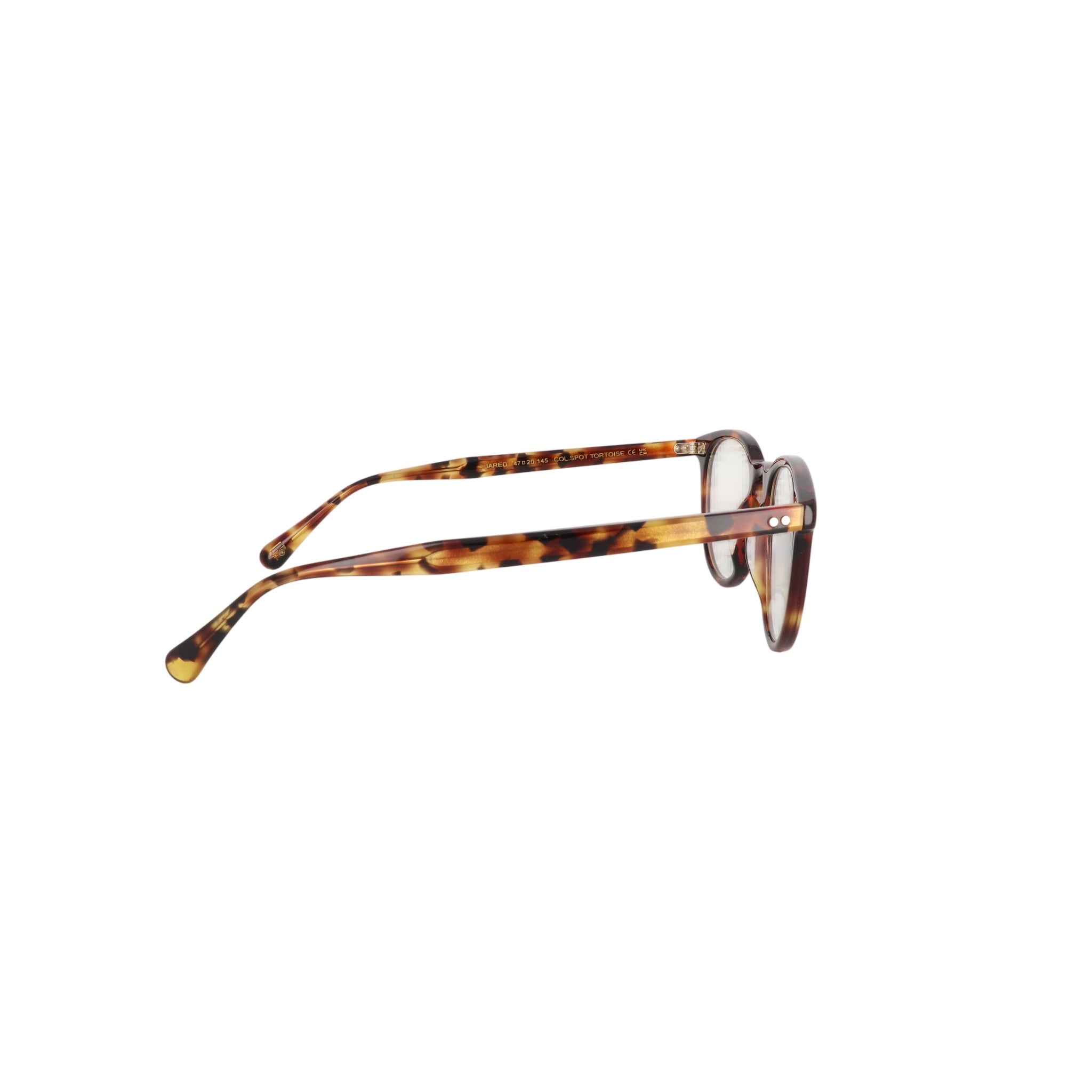 MOSCOT M JARED NV - Jorge Oculista