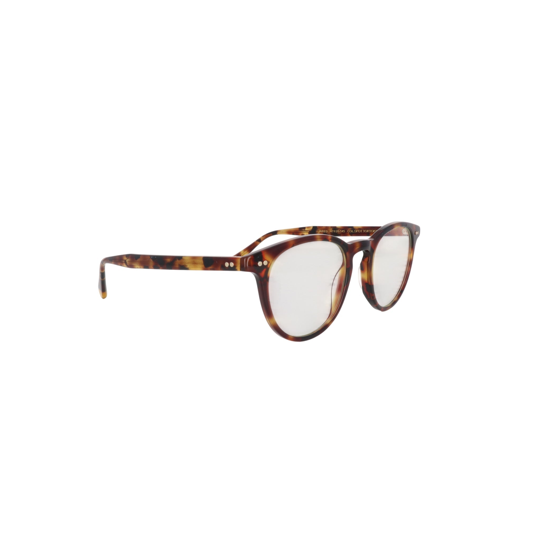 MOSCOT M JARED NV - Jorge Oculista