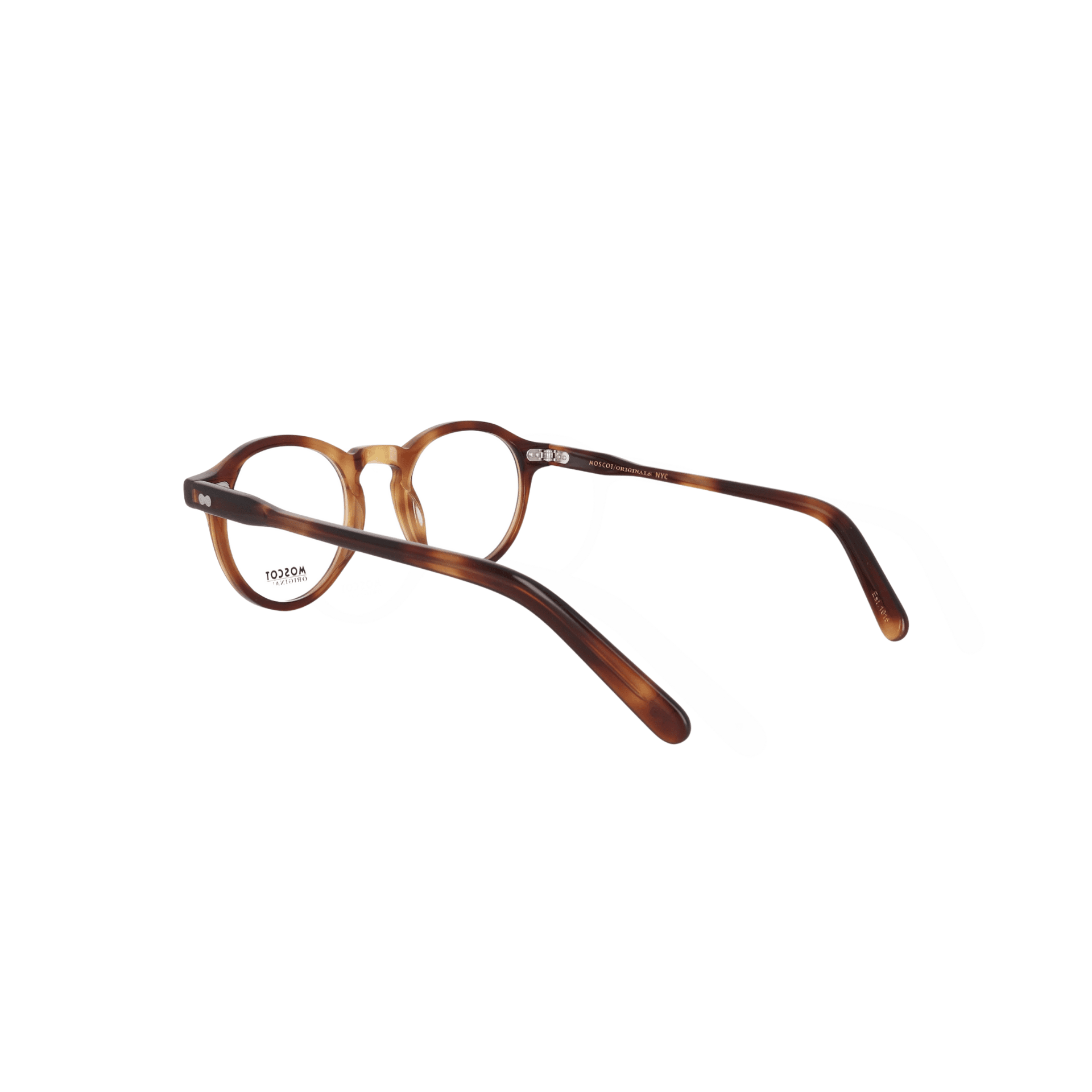 MOSCOT M MILTZEN - Jorge Oculista