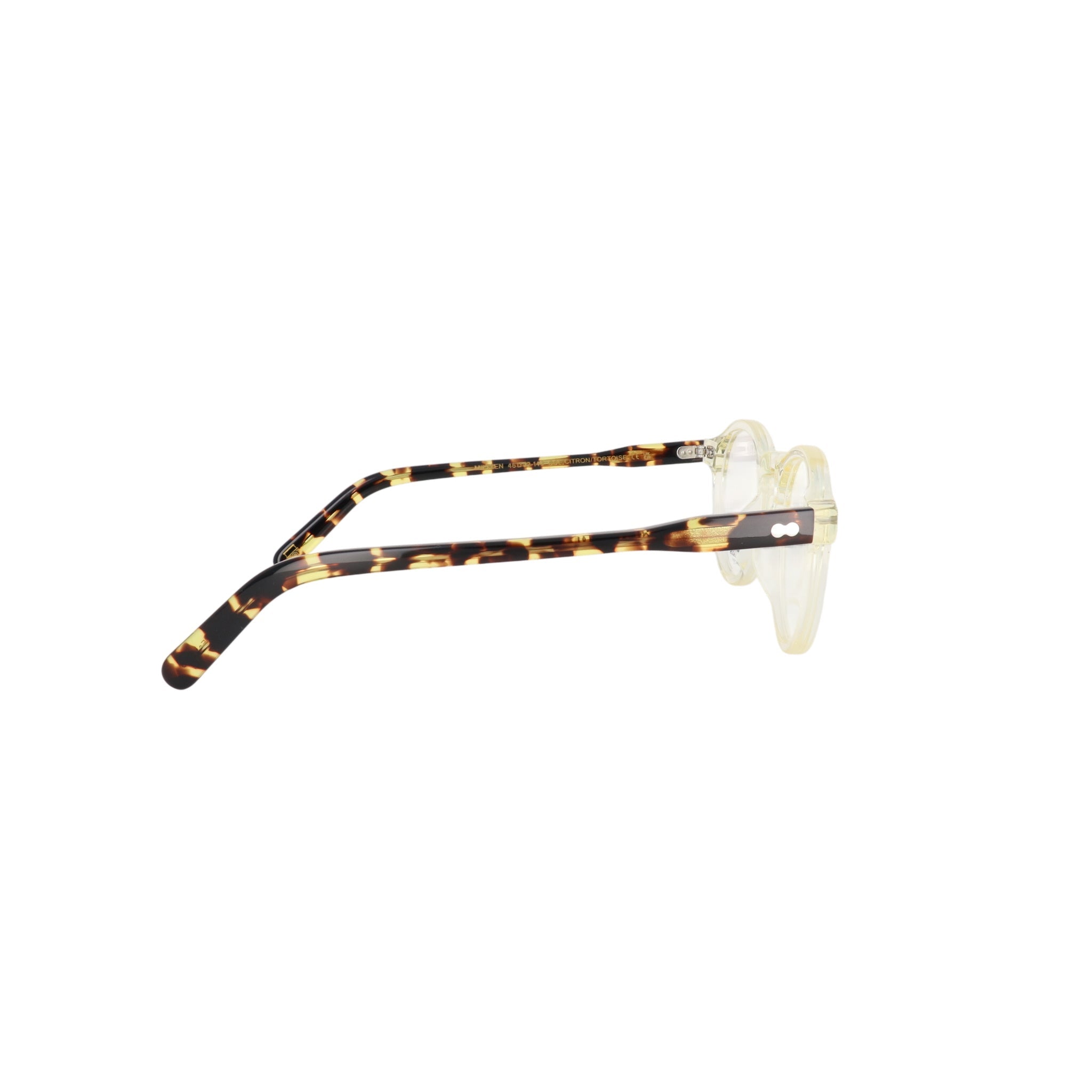 MOSCOT M MILTZEN - Jorge Oculista