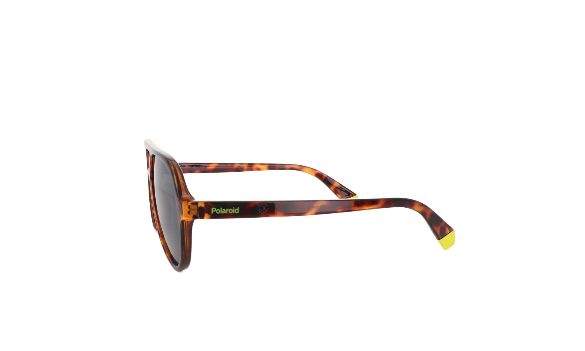 POLAROID PLD 8046 - Jorge Oculista