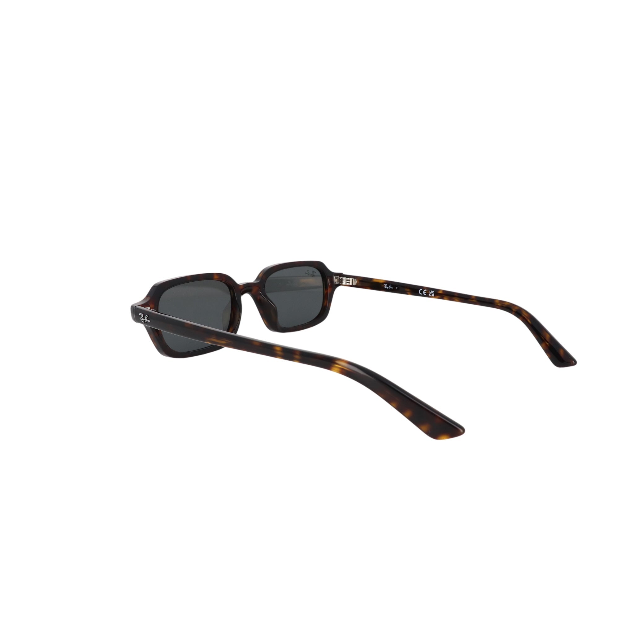 RAY - BAN RB 4455 - Jorge Oculista