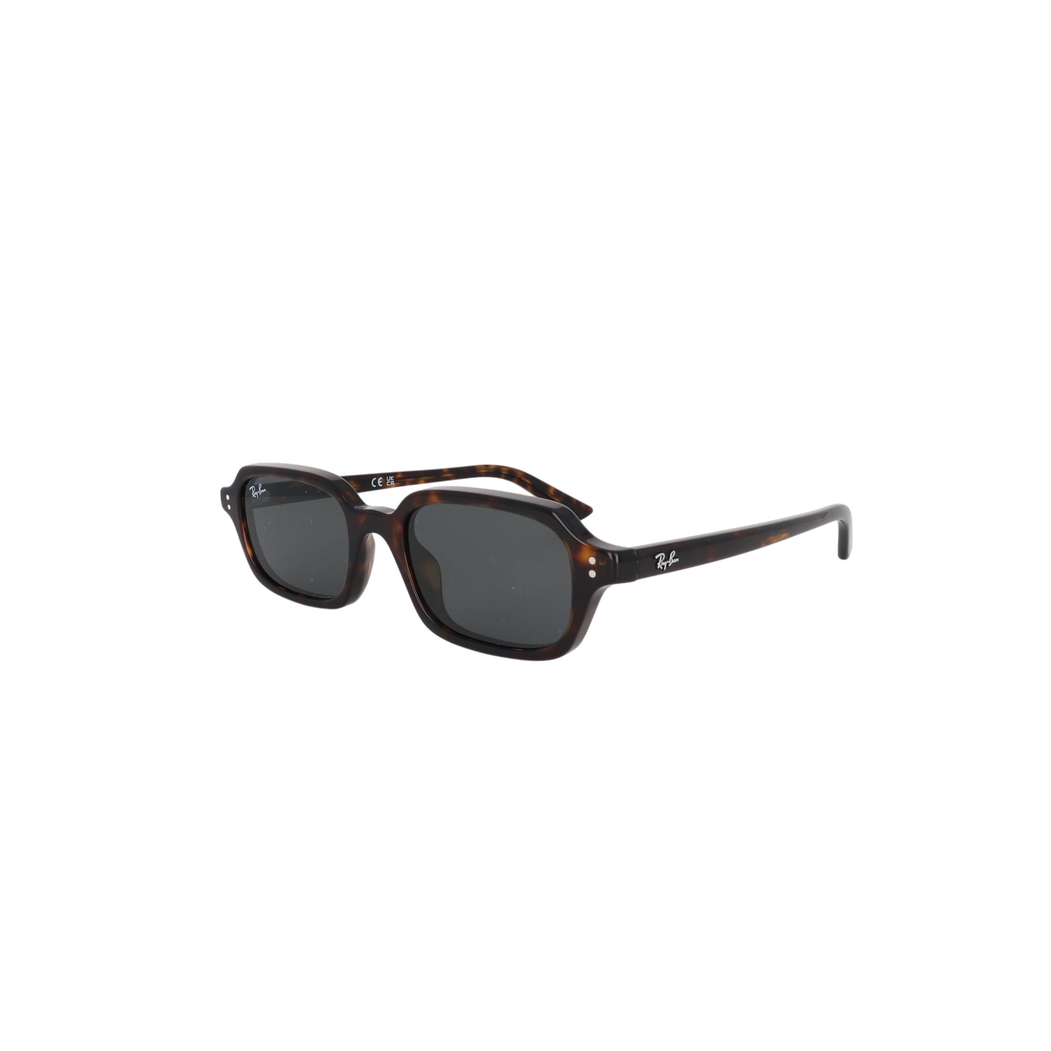RAY - BAN RB 4455 - Jorge Oculista