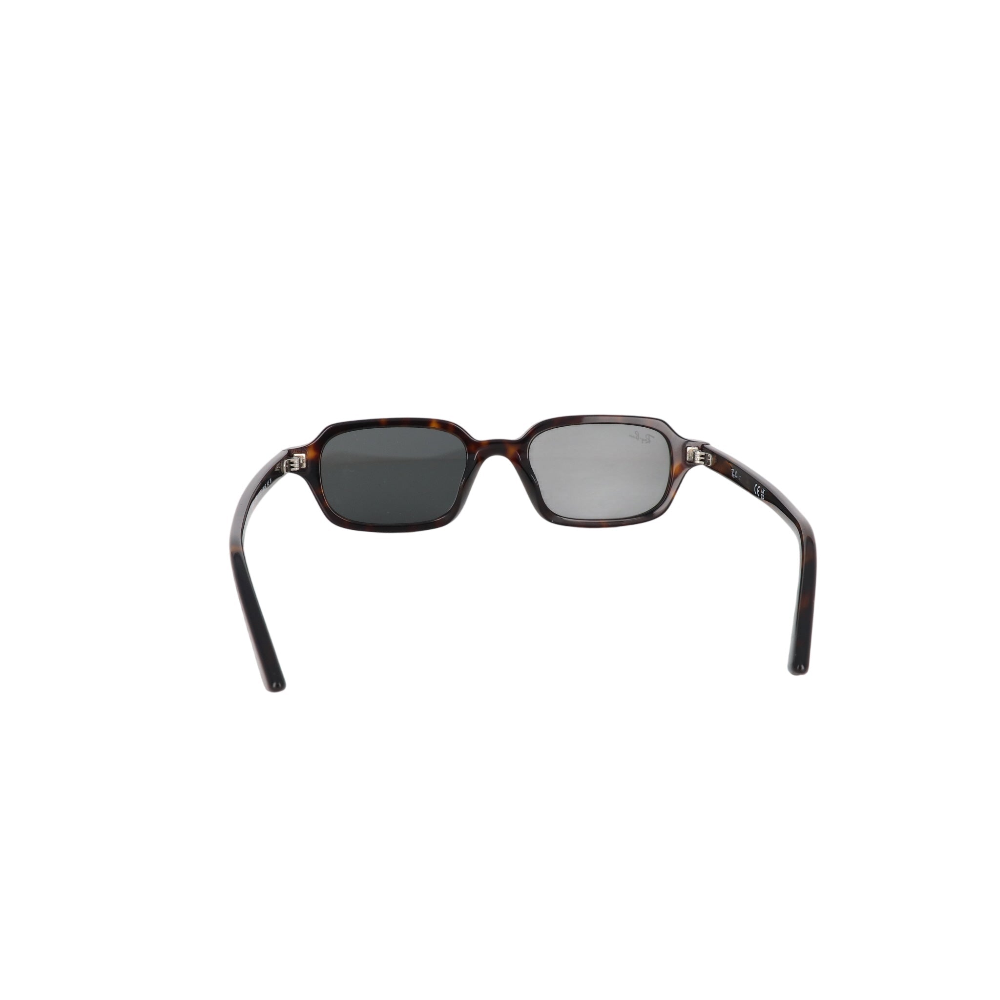RAY - BAN RB 4455 - Jorge Oculista