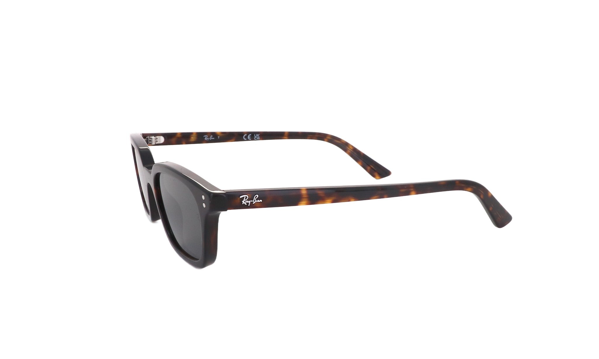 RAY - BAN RB 4456 - Jorge Oculista
