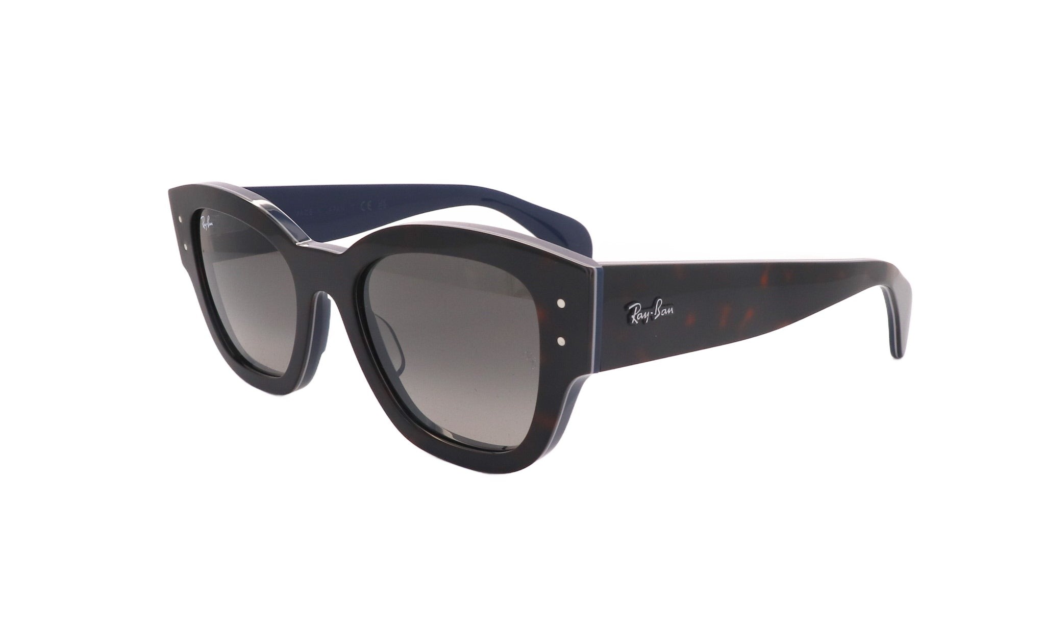 RAY - BAN RB 7681 - Jorge Oculista