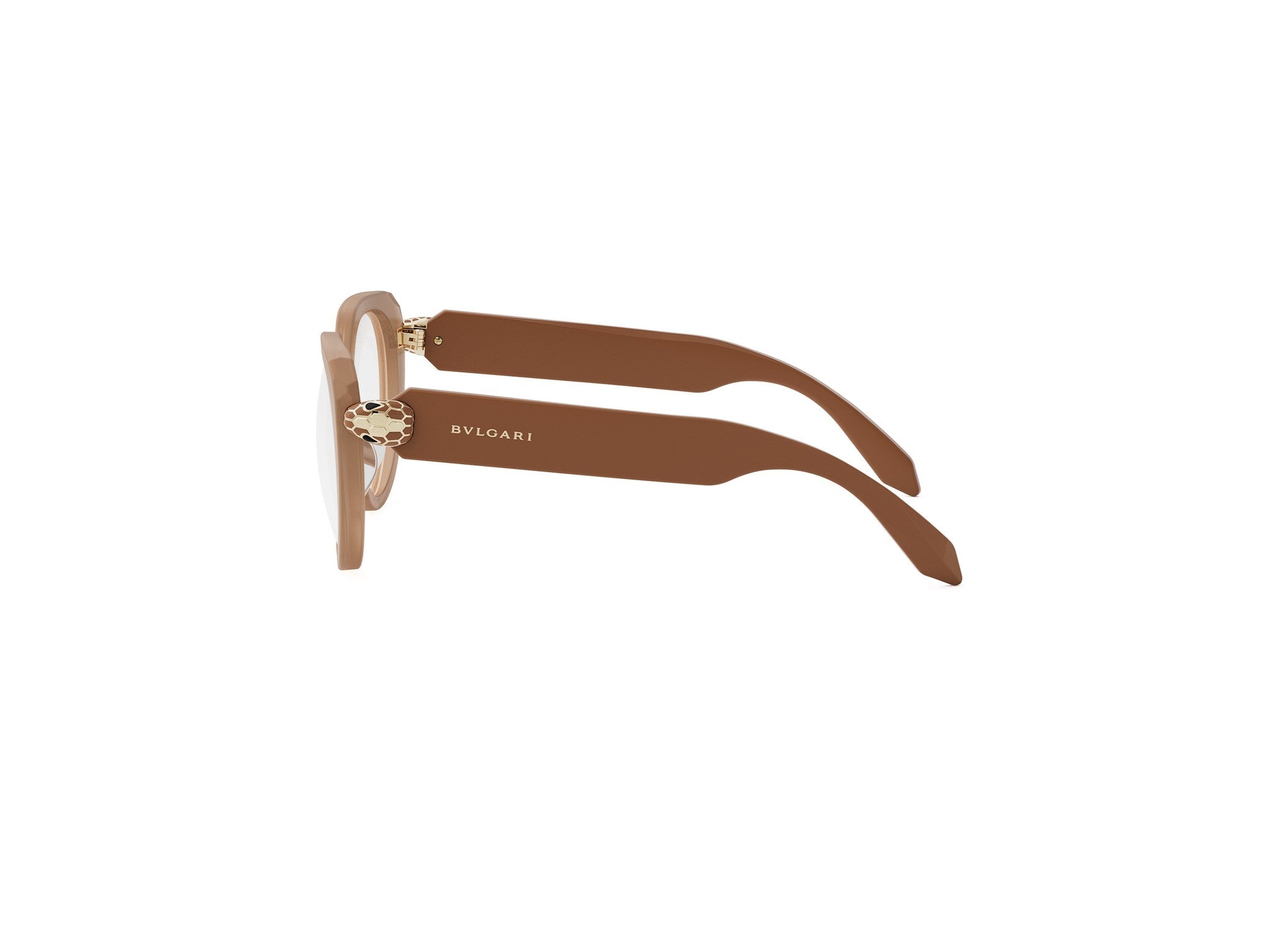 SERPENTI FOREVER CAT EYE EYEGLASSES - Jorge Oculista