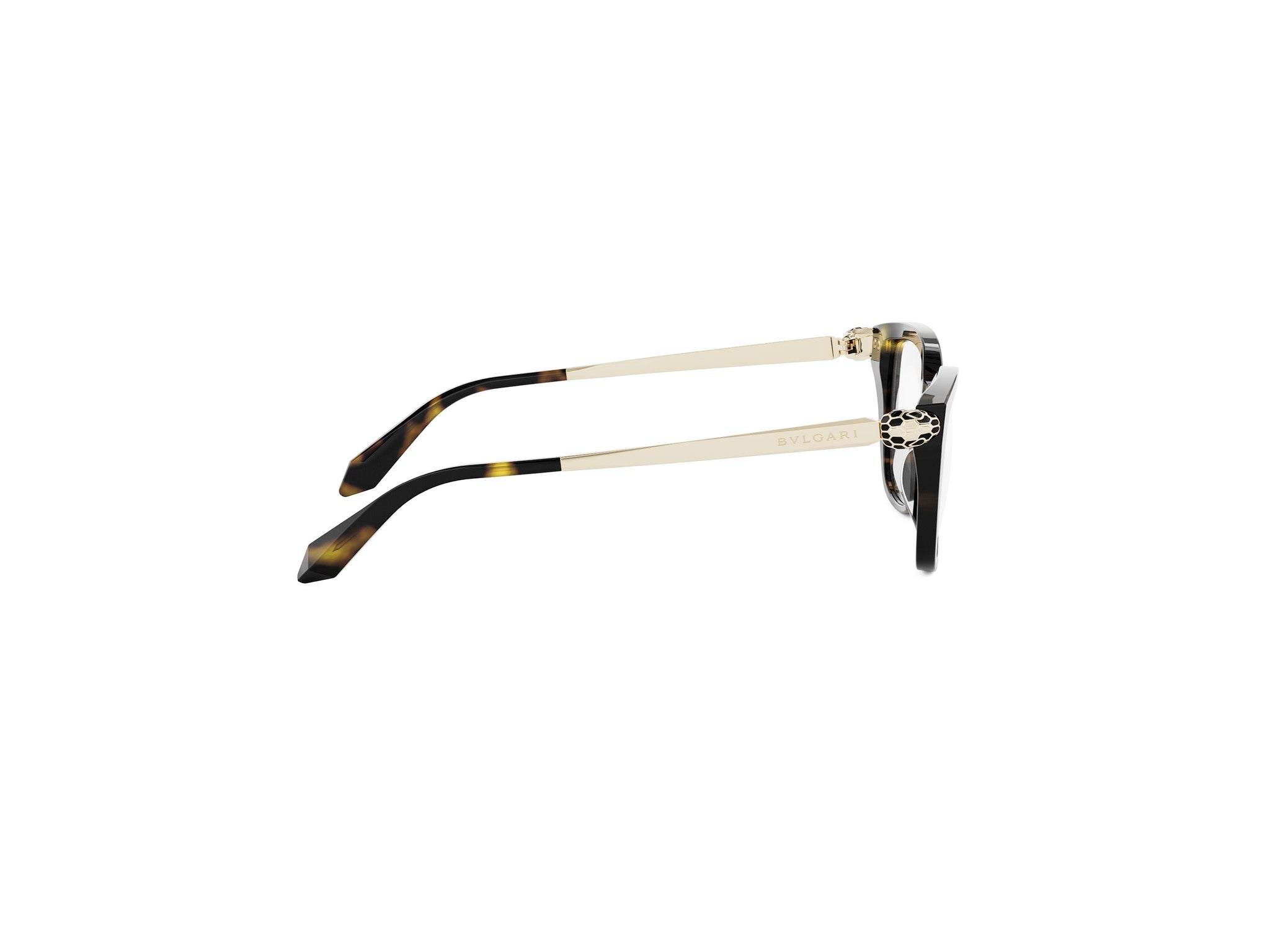SERPENTI FOREVER CAT EYE EYEGLASSES - Jorge Oculista