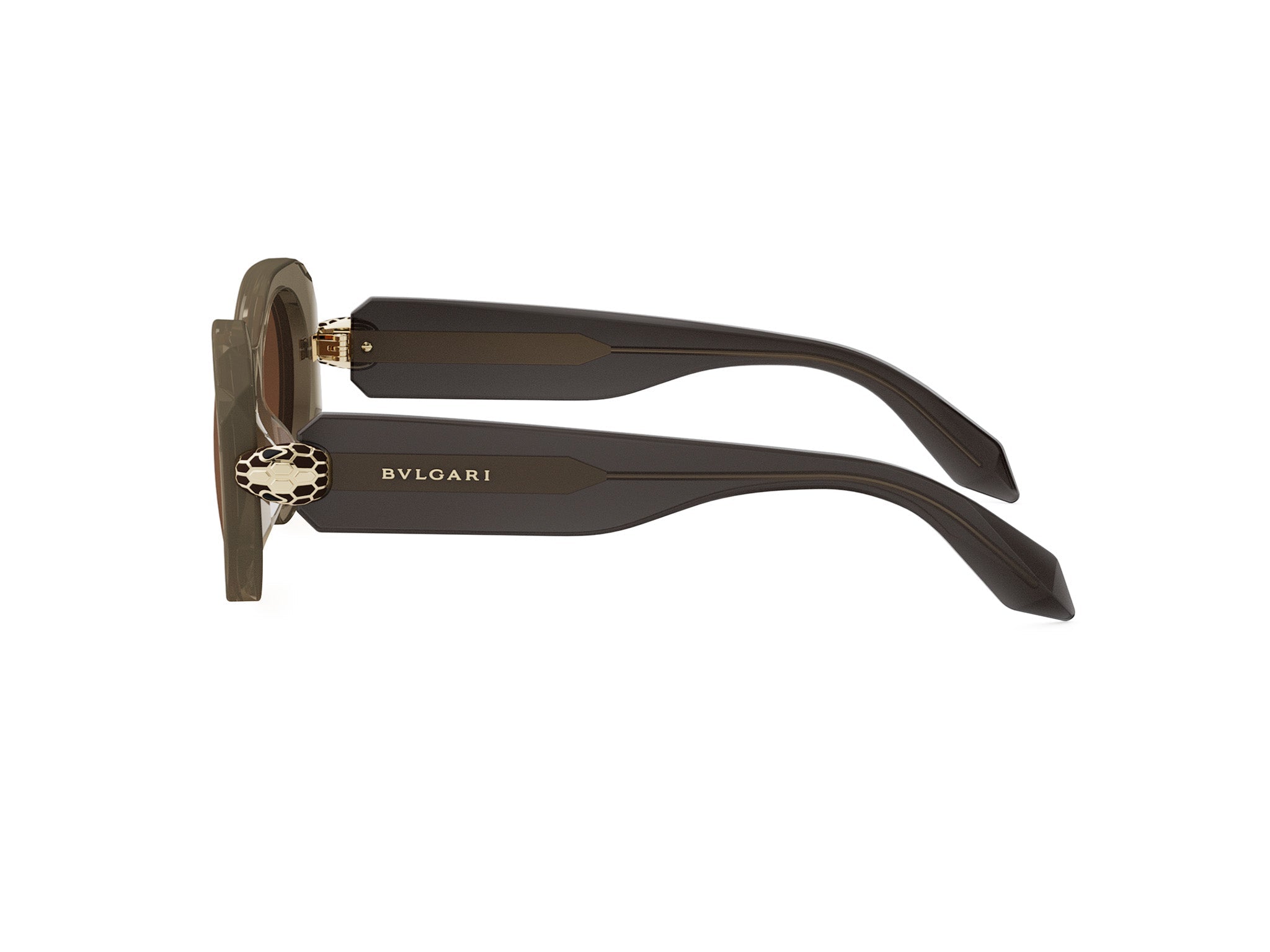 SERPENTI FOREVER OVAL SUNGLASSES - Jorge Oculista