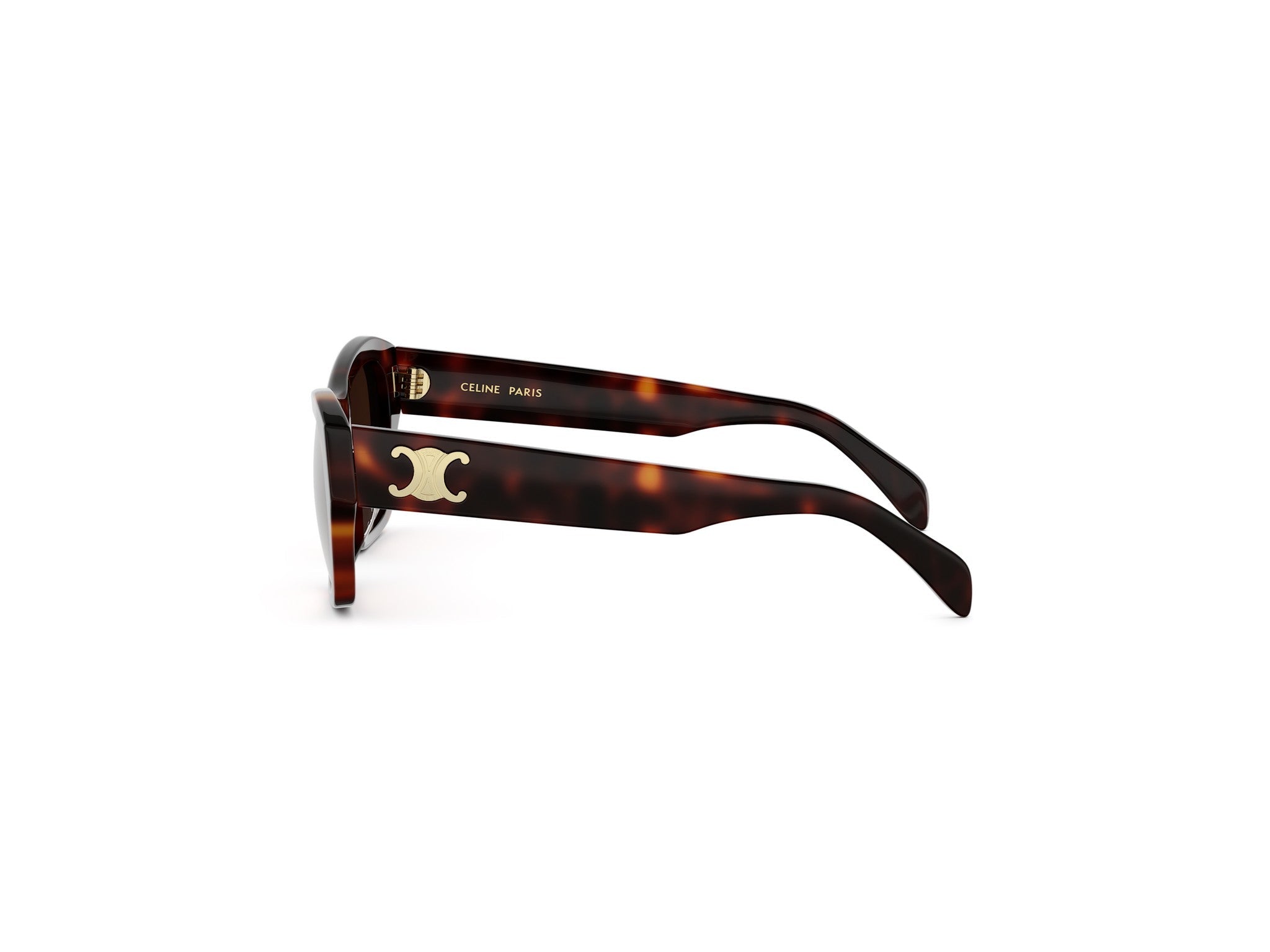 TRIOMPHE BUTTERFLY SUNGLASSES - Jorge Oculista