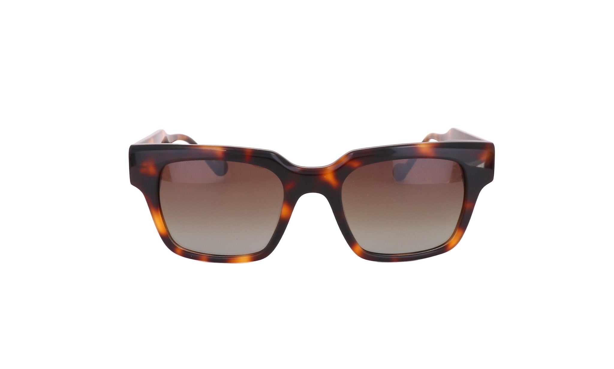 VISIONARIO VSNO NICHOLSON - Jorge Oculista