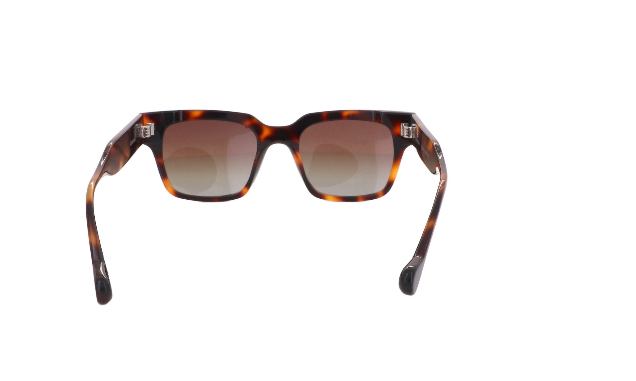 VISIONARIO VSNO NICHOLSON - Jorge Oculista