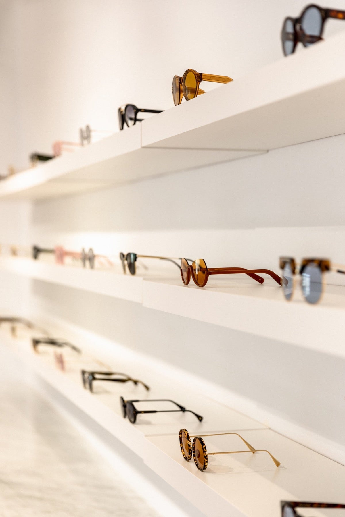 Last of Its Kind - Jorge Oculista
