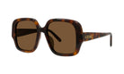 A pair of brown tortoiseshell sunglasses with the LEOVE brand name visible on the frame.