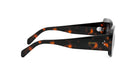 A pair of sunglasses with a tortoiseshell frame and the Celine logo on the side.