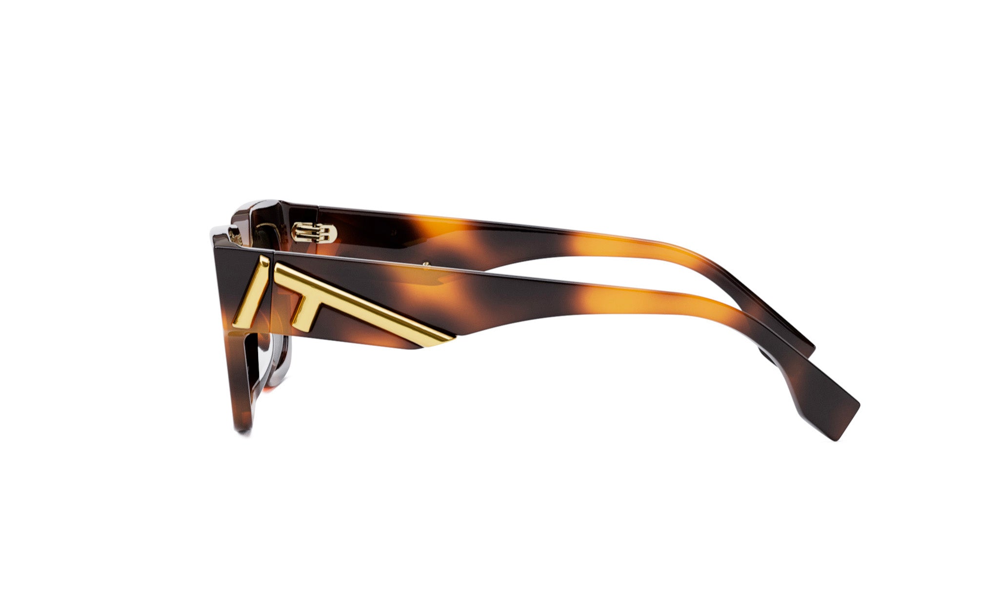 A pair of sunglasses with a tortoiseshell frame and gold accents.