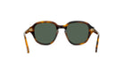 A pair of tortoiseshell sunglasses with dark green lenses.