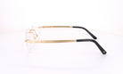 CARTIER CT 0407 - Jorge Oculista