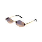 CARTIER CT 0433 - Jorge Oculista