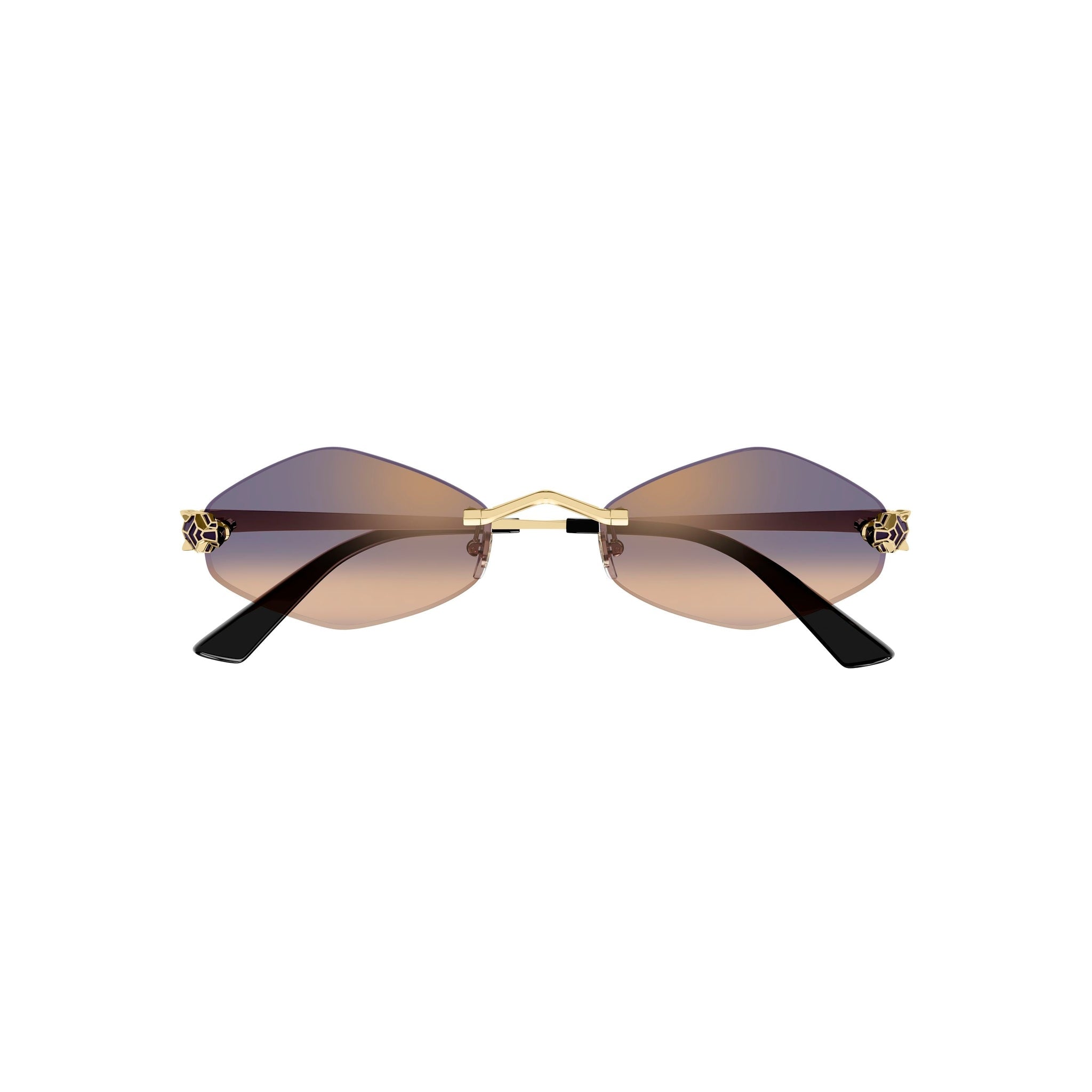 CARTIER CT 0433 - Jorge Oculista