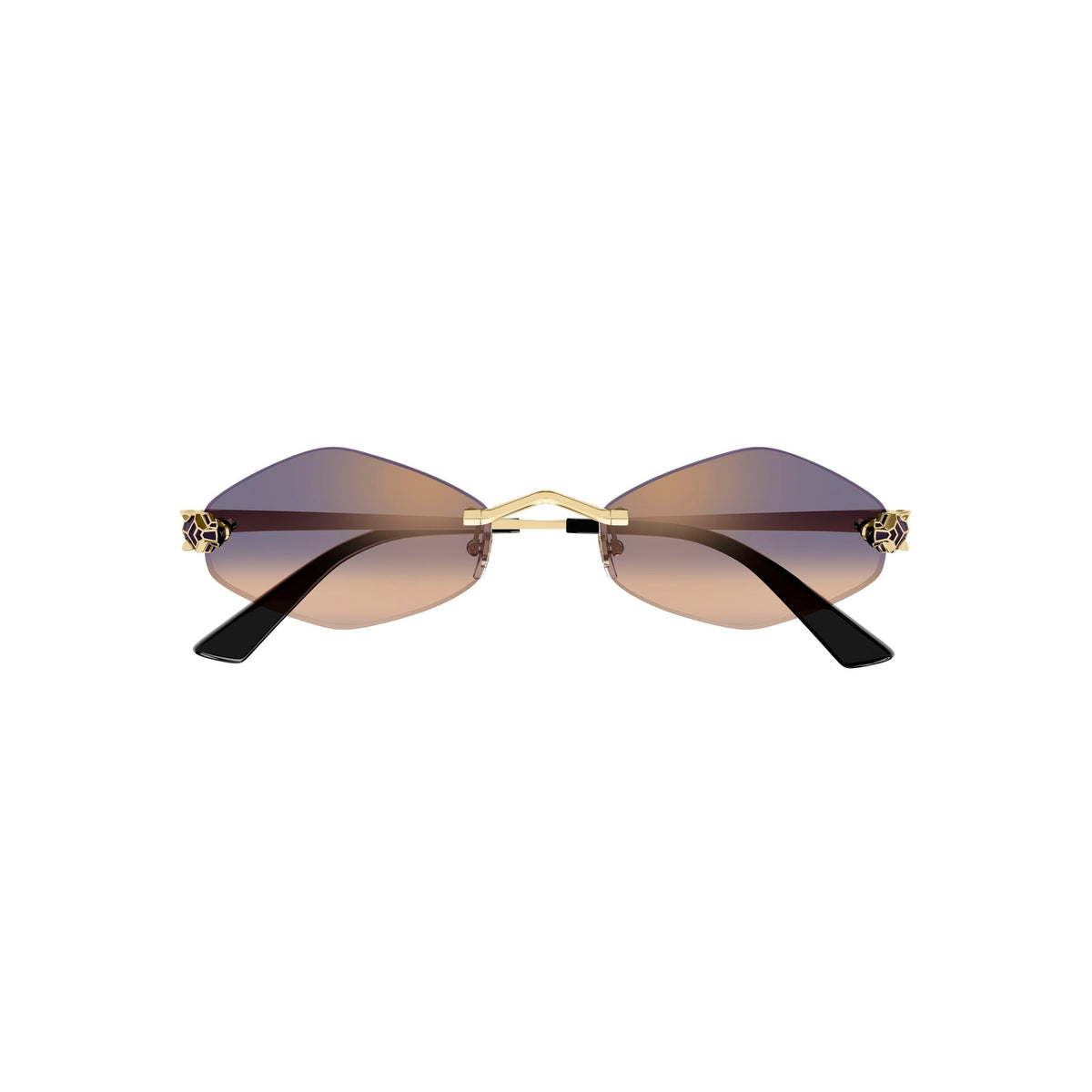 CARTIER CT 0433 - Jorge Oculista