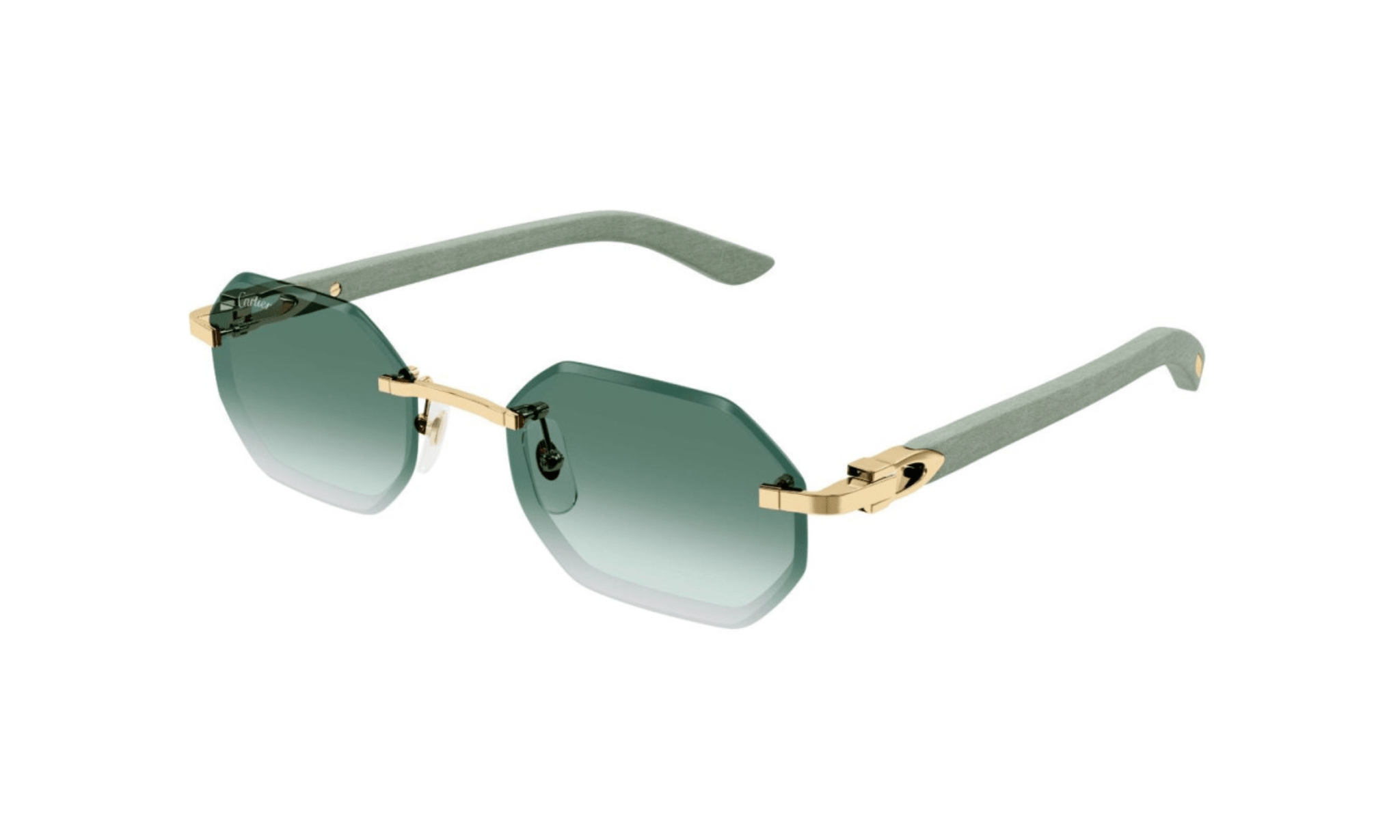 CARTIER CT 0439 - Jorge Oculista