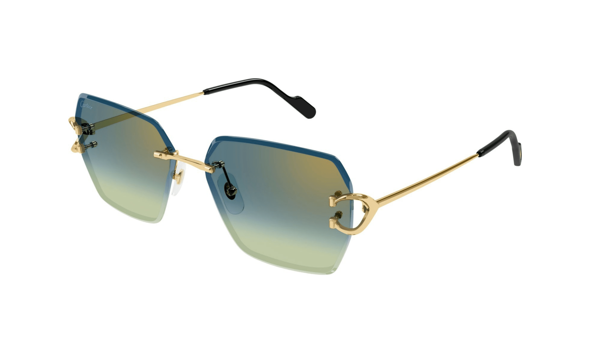 CARTIER CT 0466 - Jorge Oculista