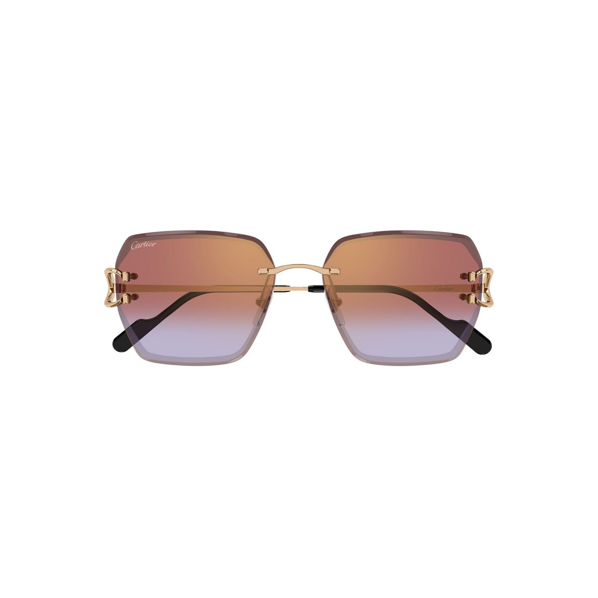 CARTIER CT 0466 - Jorge Oculista