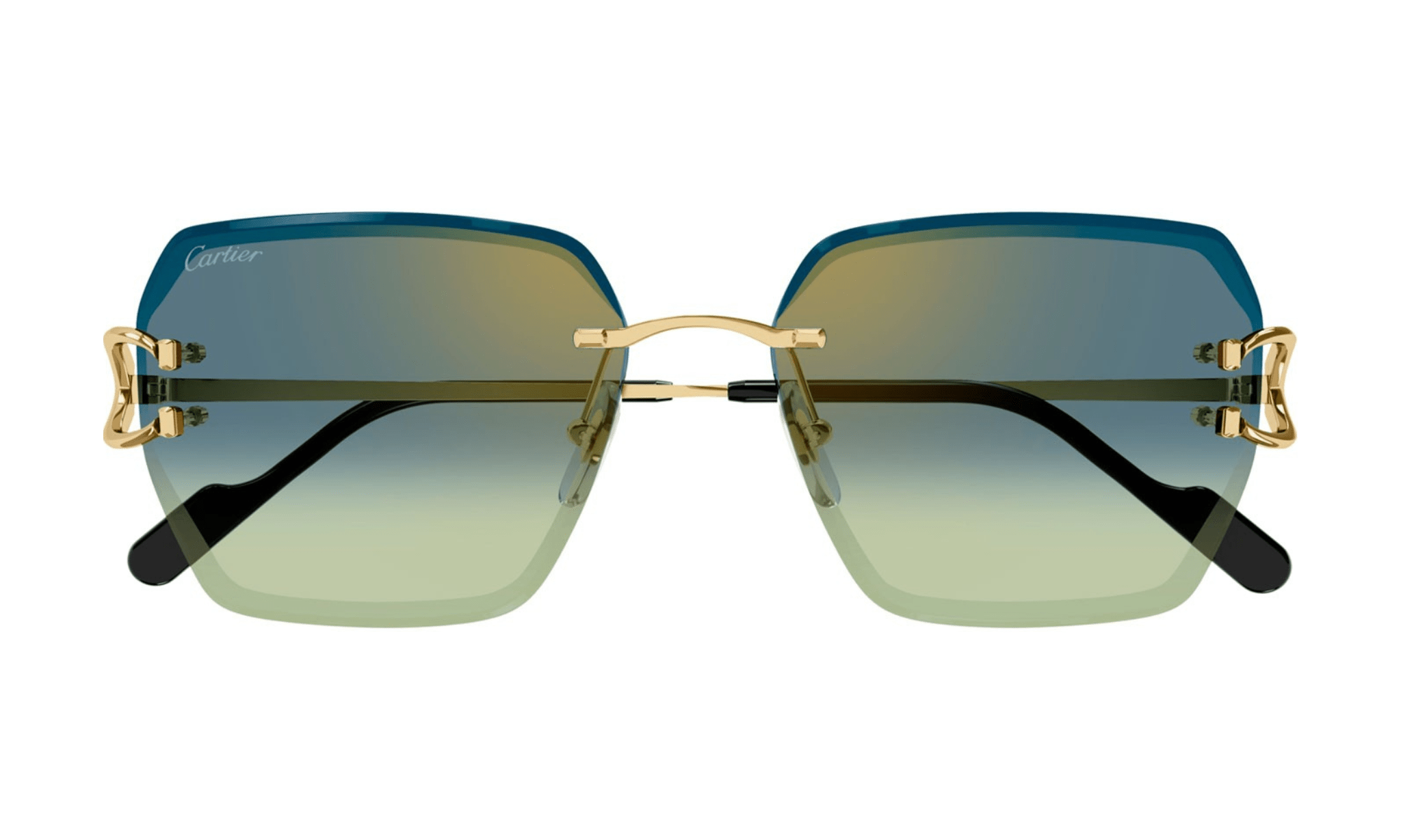 CARTIER CT 0466 - Jorge Oculista