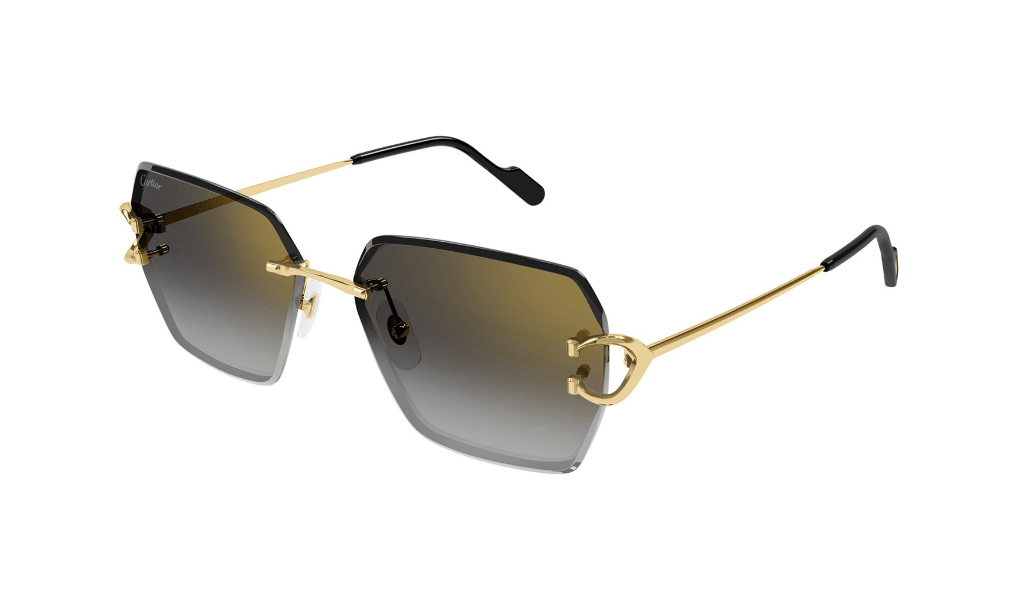 CARTIER CT 0466 - Jorge Oculista