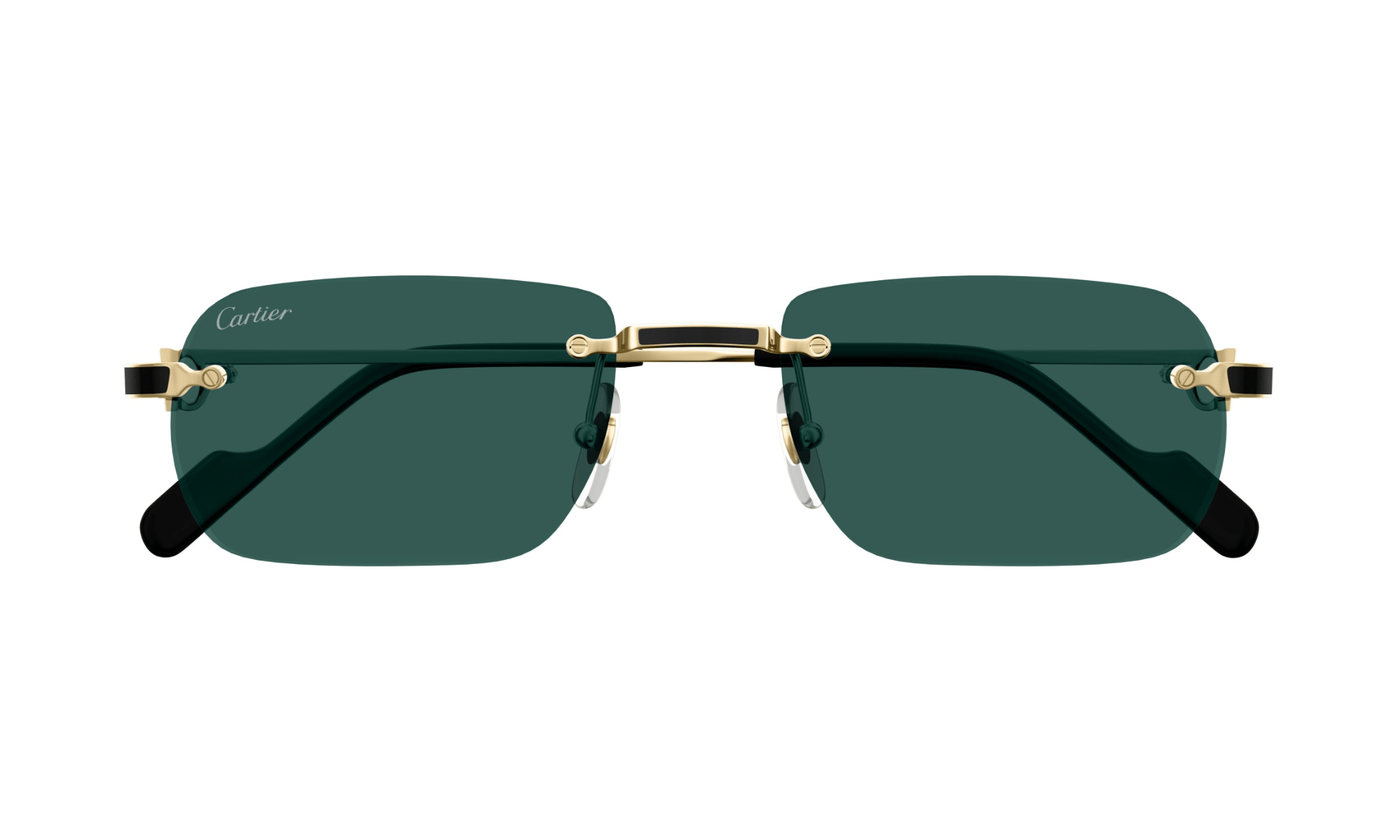 CARTIER CT 0498 - Jorge Oculista