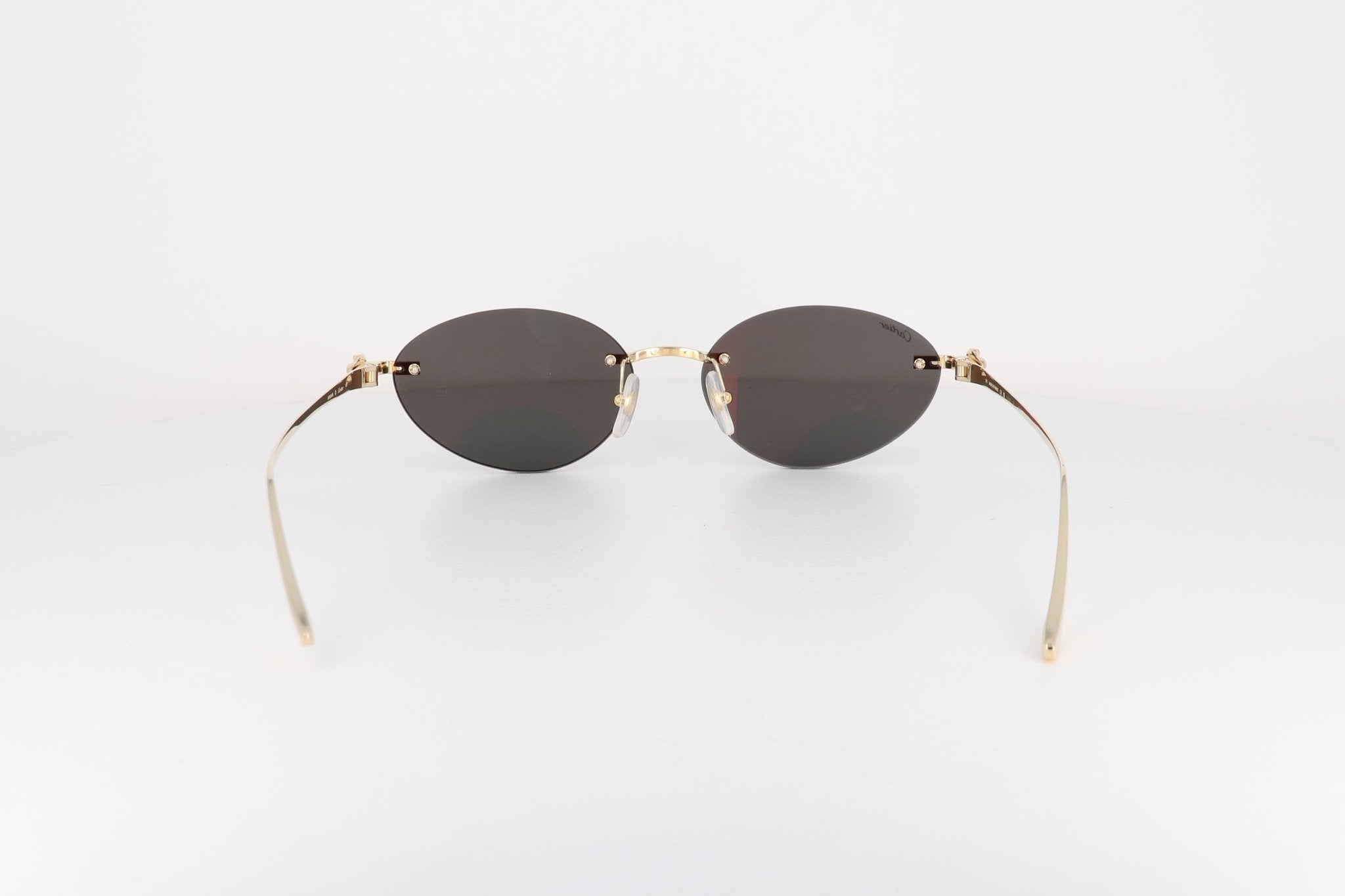 CARTIER CT 0504 - Jorge Oculista