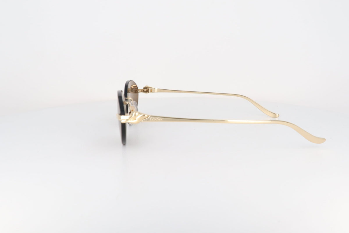 CARTIER CT 0504 - Jorge Oculista