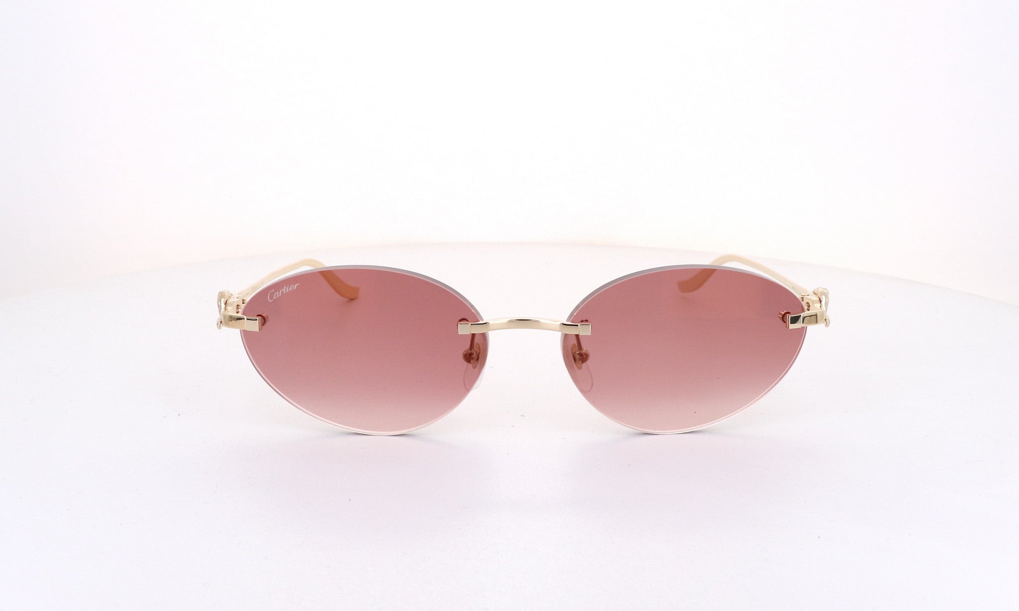 CARTIER CT 0504 - Jorge Oculista