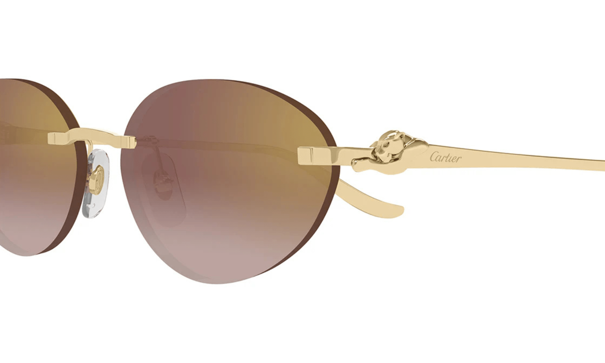 CARTIER CT 0504 - Jorge Oculista