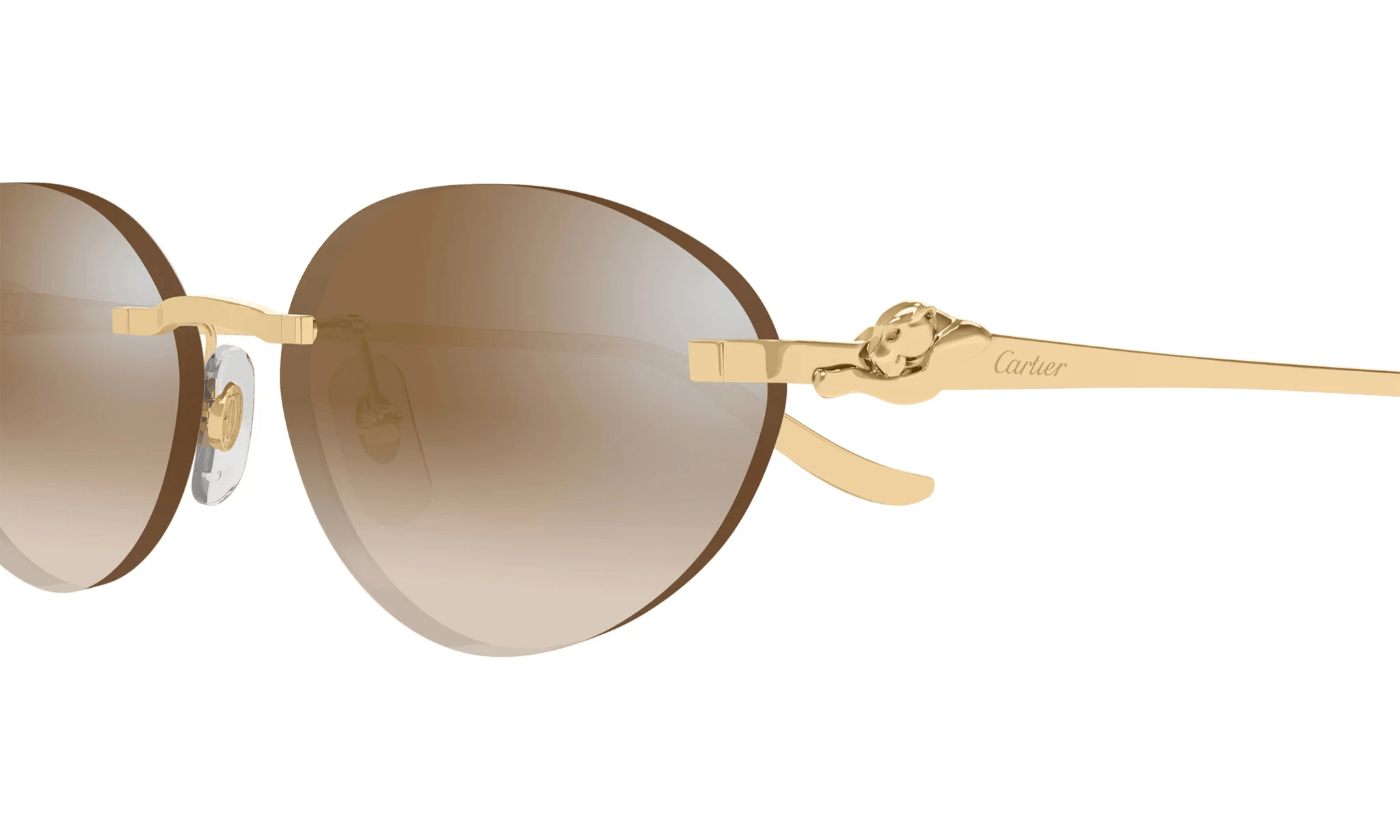 CARTIER CT 0504 - Jorge Oculista