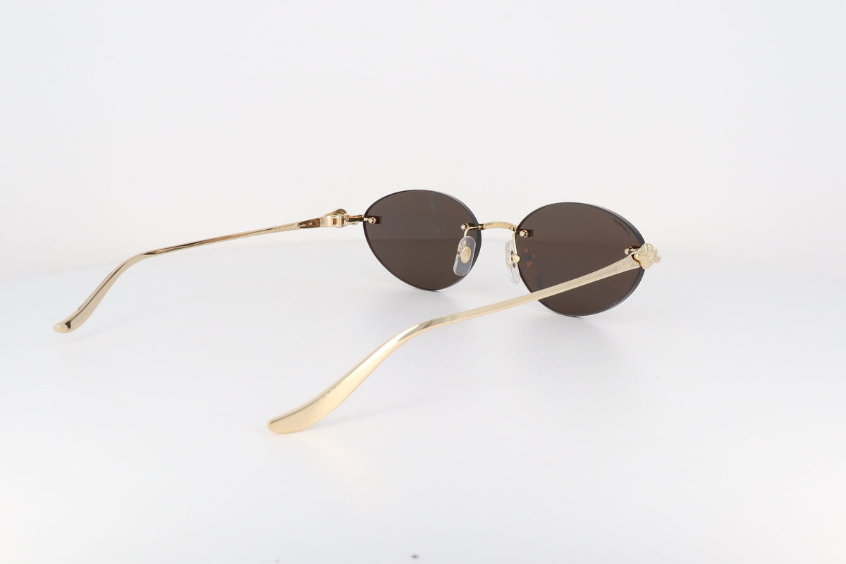 CARTIER CT 0504 - Jorge Oculista