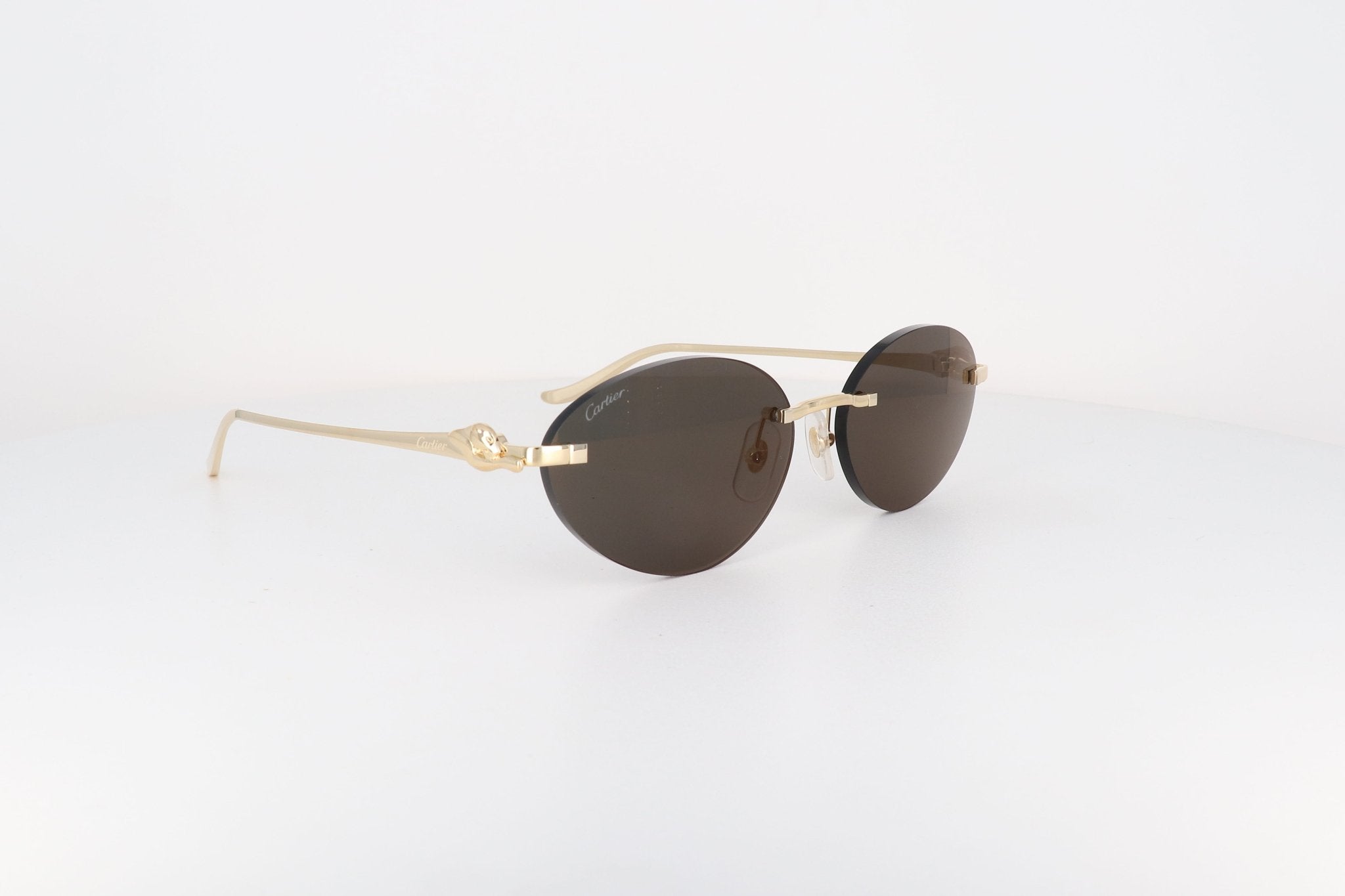 CARTIER CT 0504 - Jorge Oculista