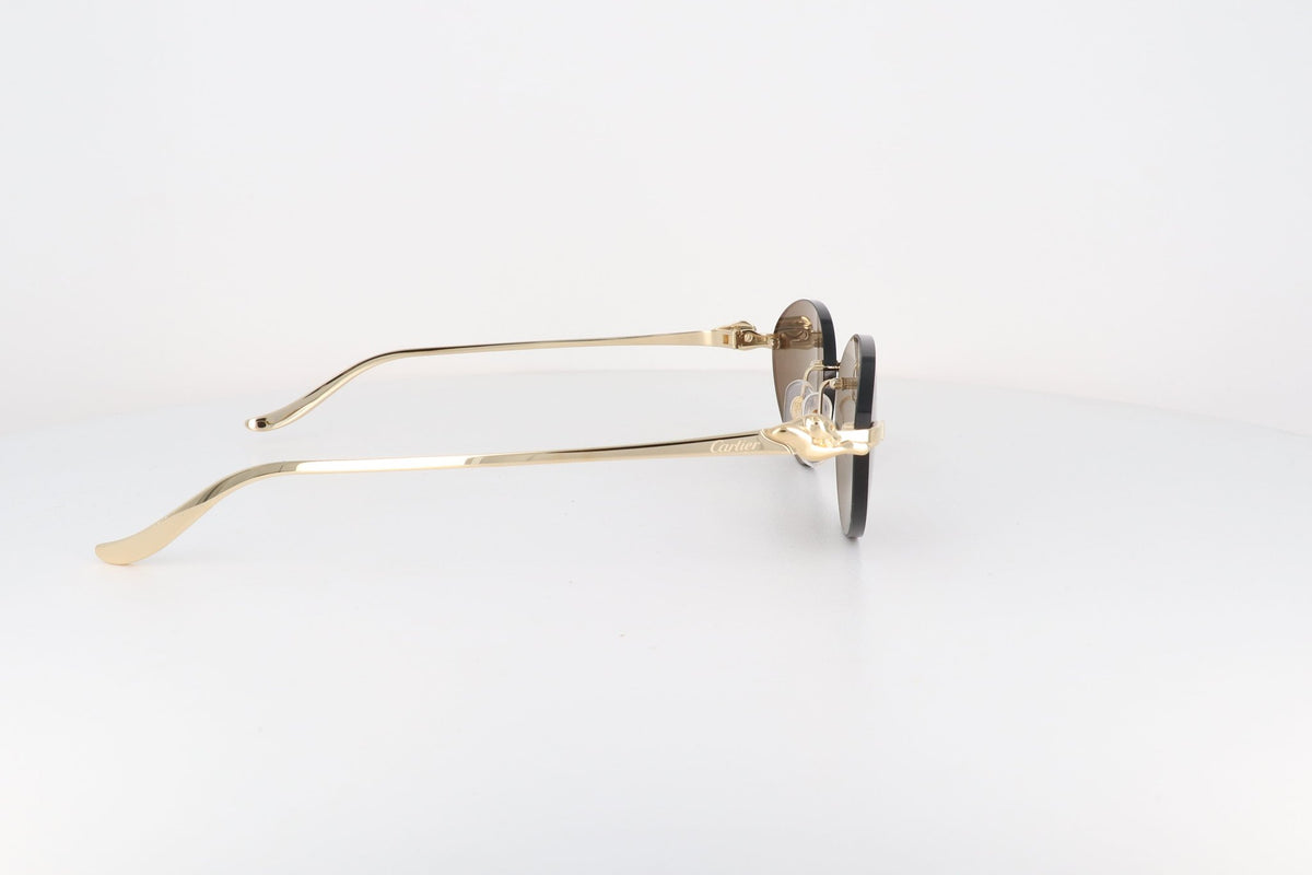 CARTIER CT 0504 - Jorge Oculista