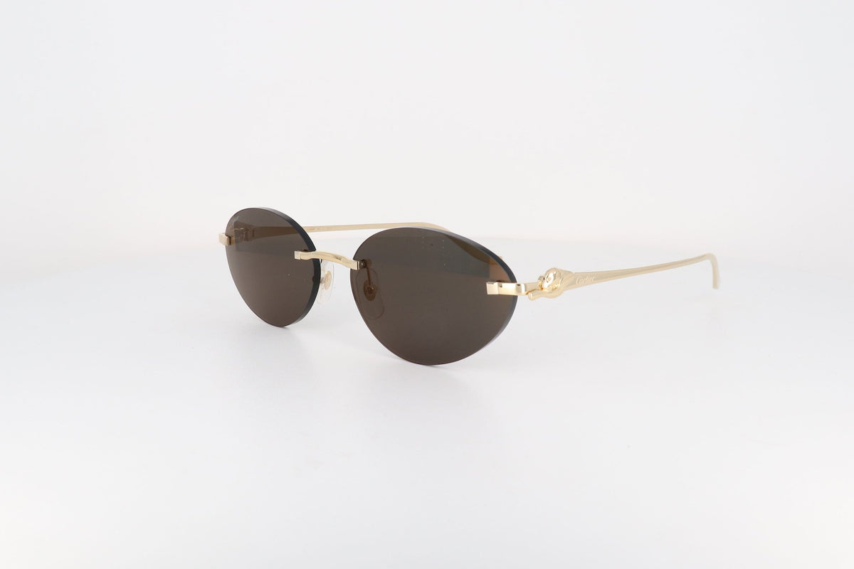CARTIER CT 0504 - Jorge Oculista