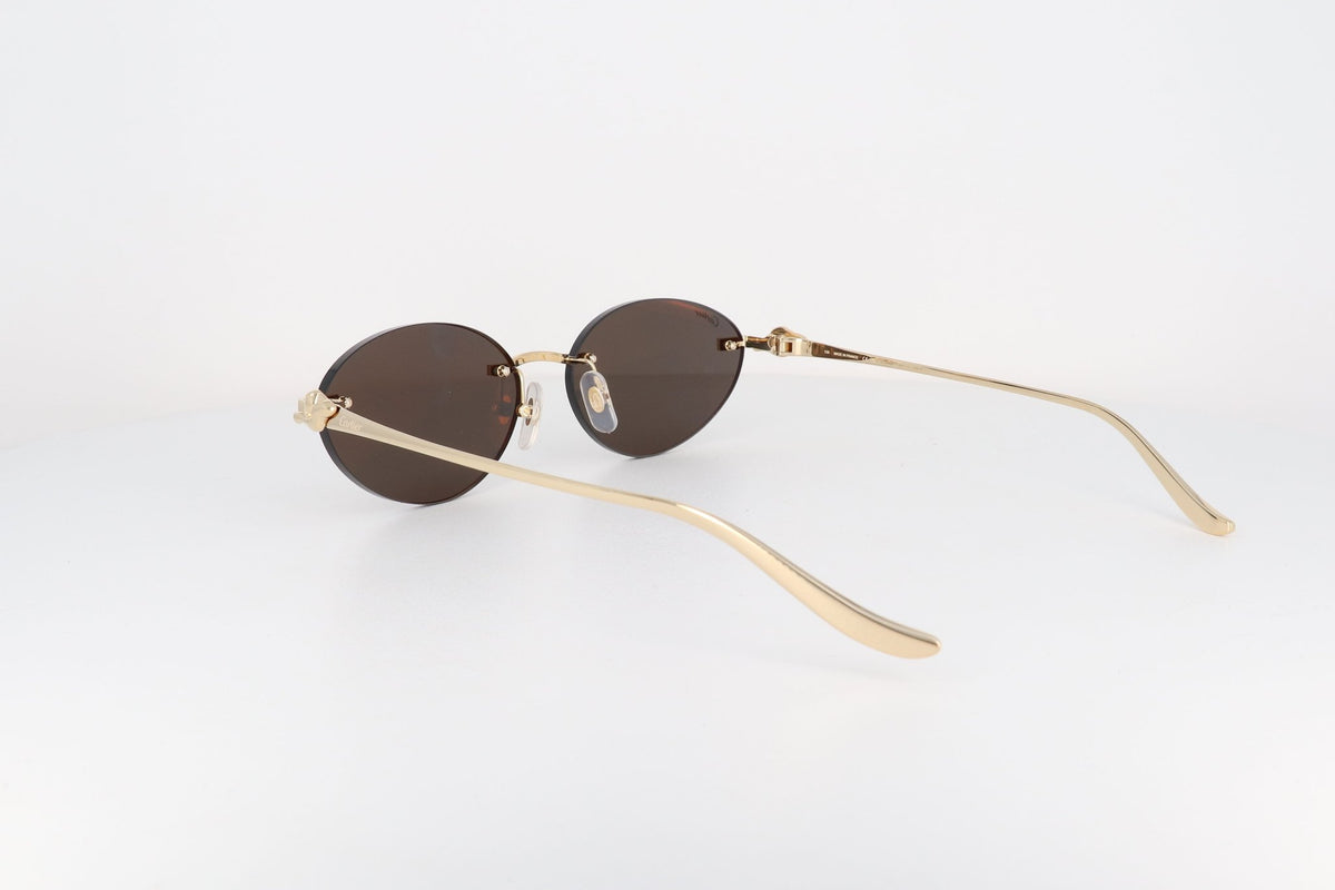 CARTIER CT 0504 - Jorge Oculista