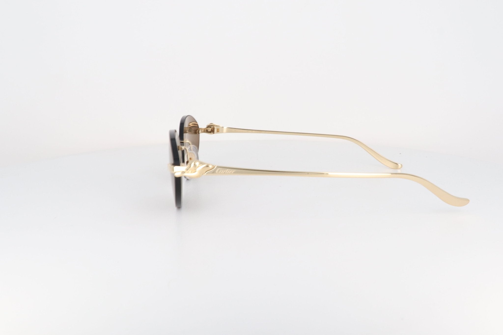 CARTIER CT 0504 - Jorge Oculista