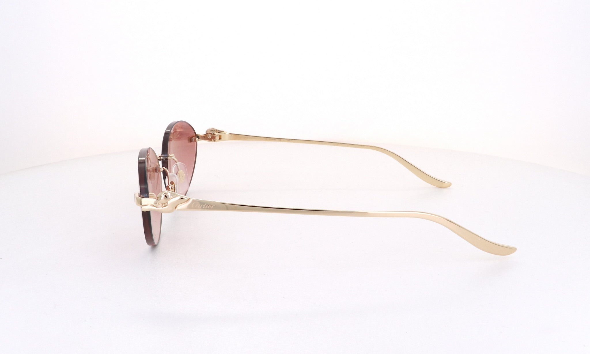 CARTIER CT 0504 - Jorge Oculista