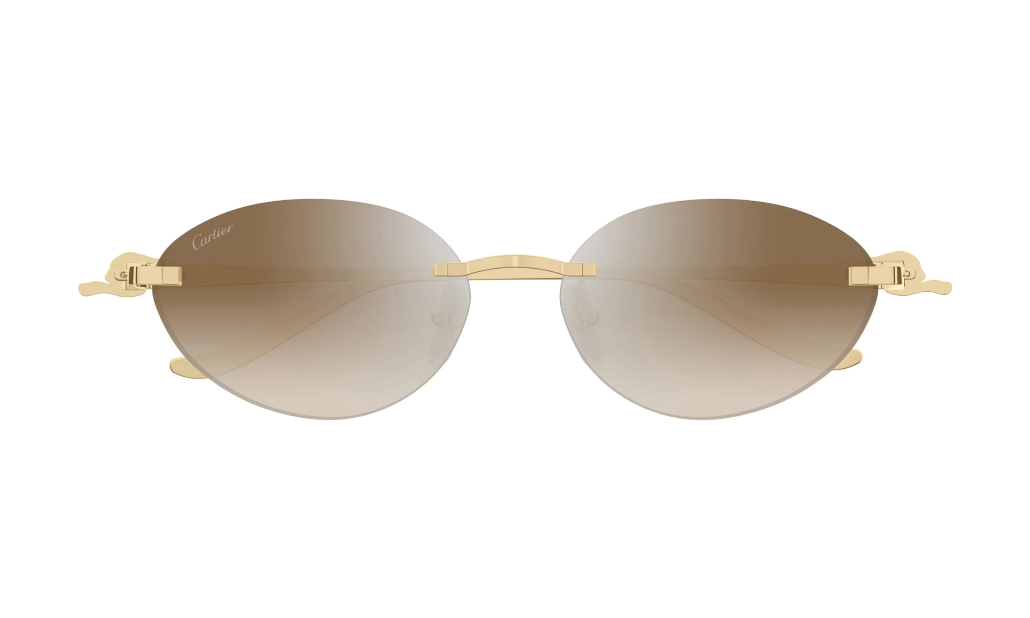 CARTIER CT 0504 - Jorge Oculista