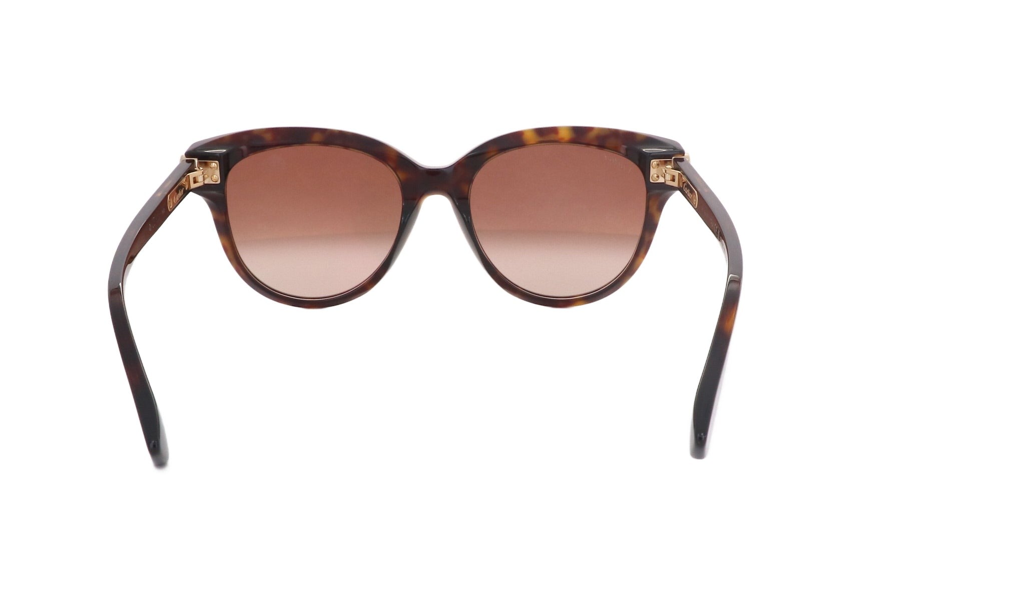 CARTIER CT 0506 - Jorge Oculista