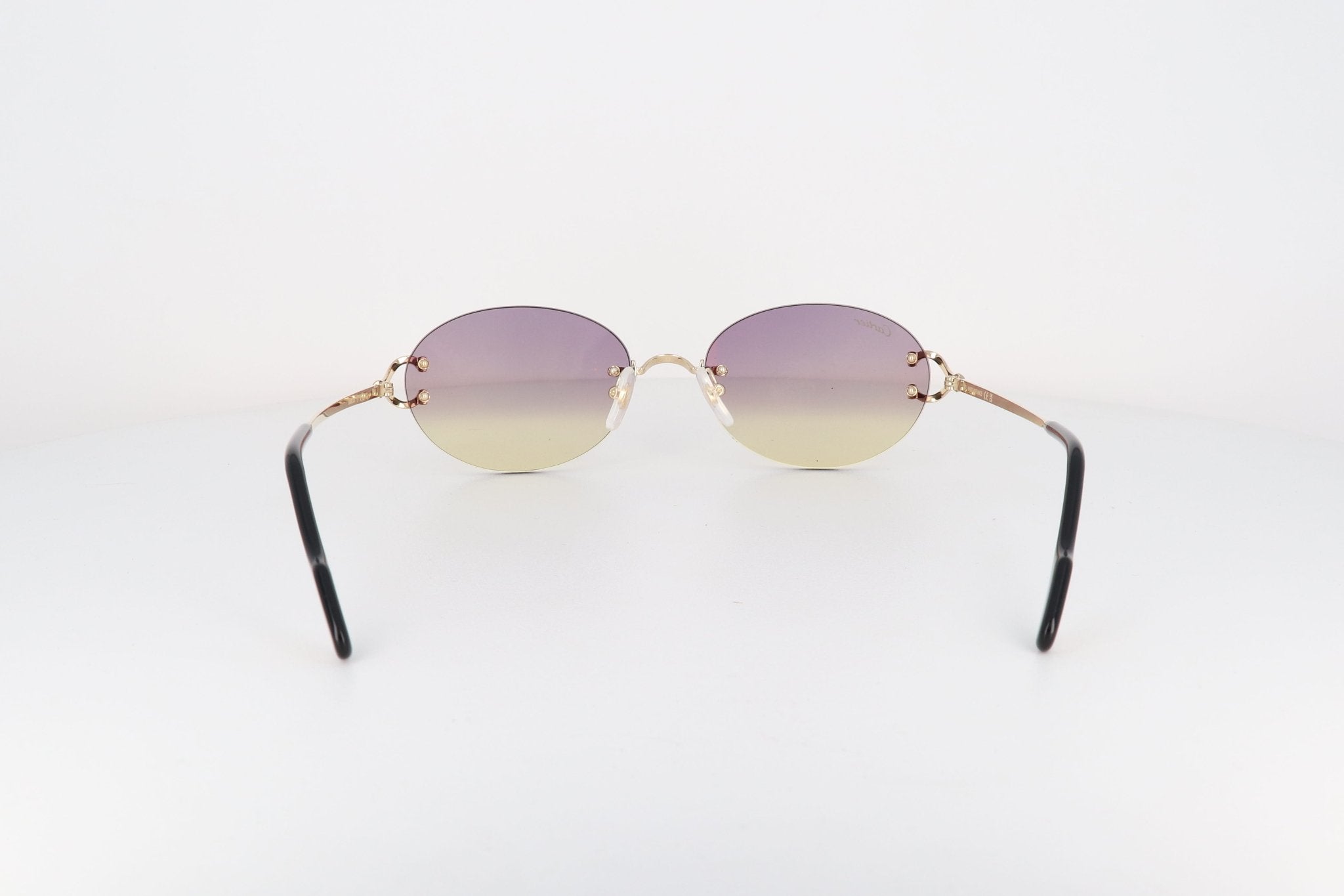 CARTIER CT 0551 - Jorge Oculista