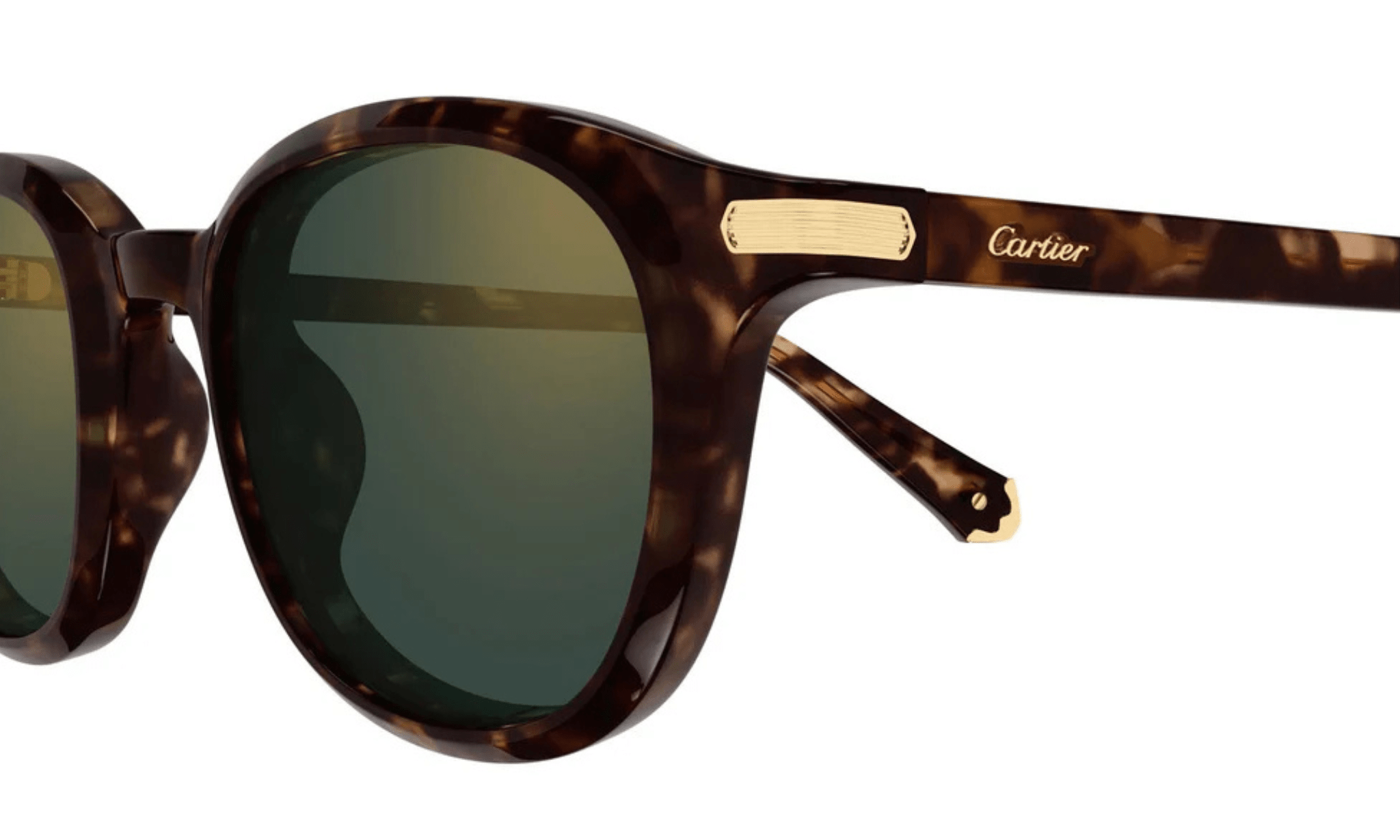 CARTIER CT 0584 - Jorge Oculista