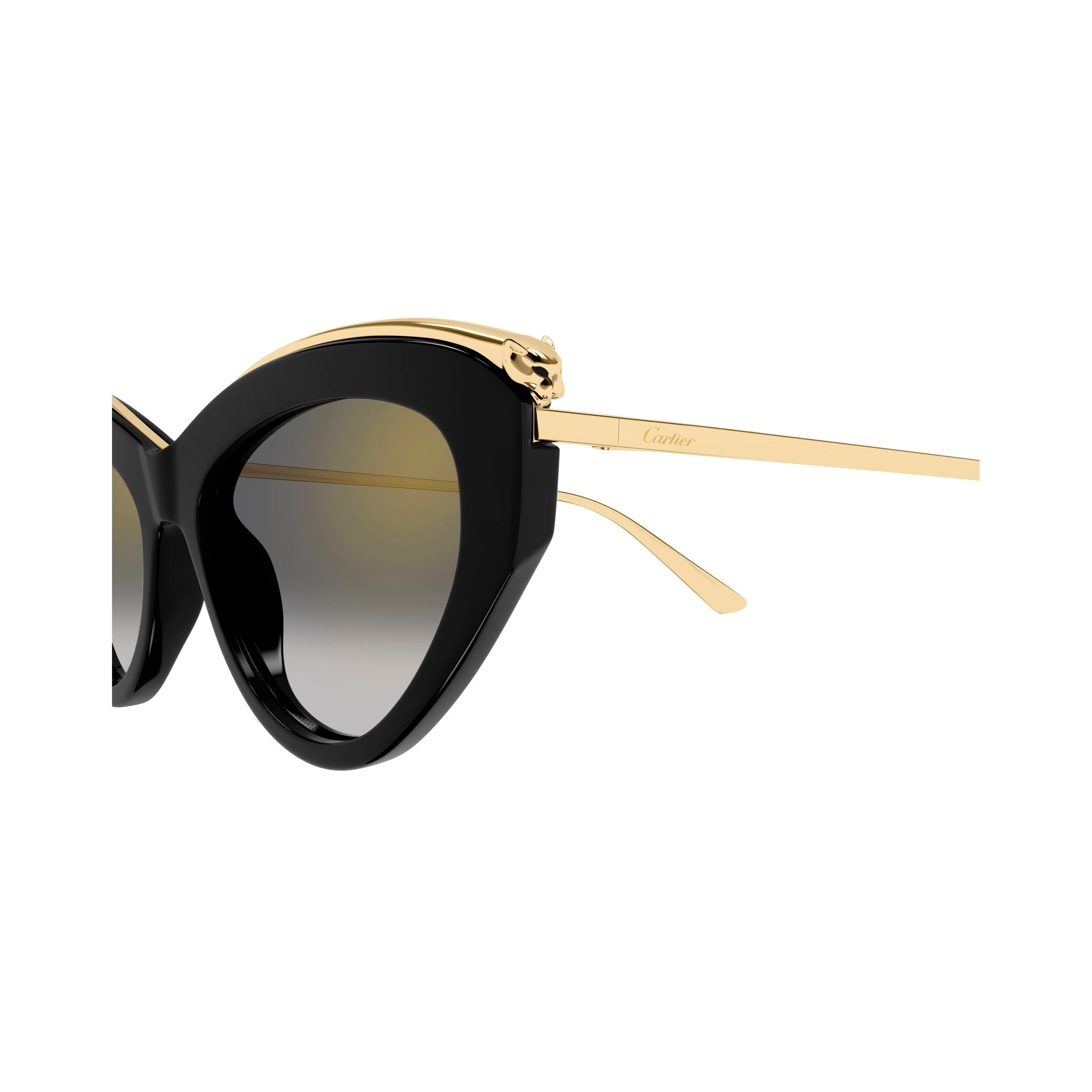 CARTIER CT 0596 - Jorge Oculista
