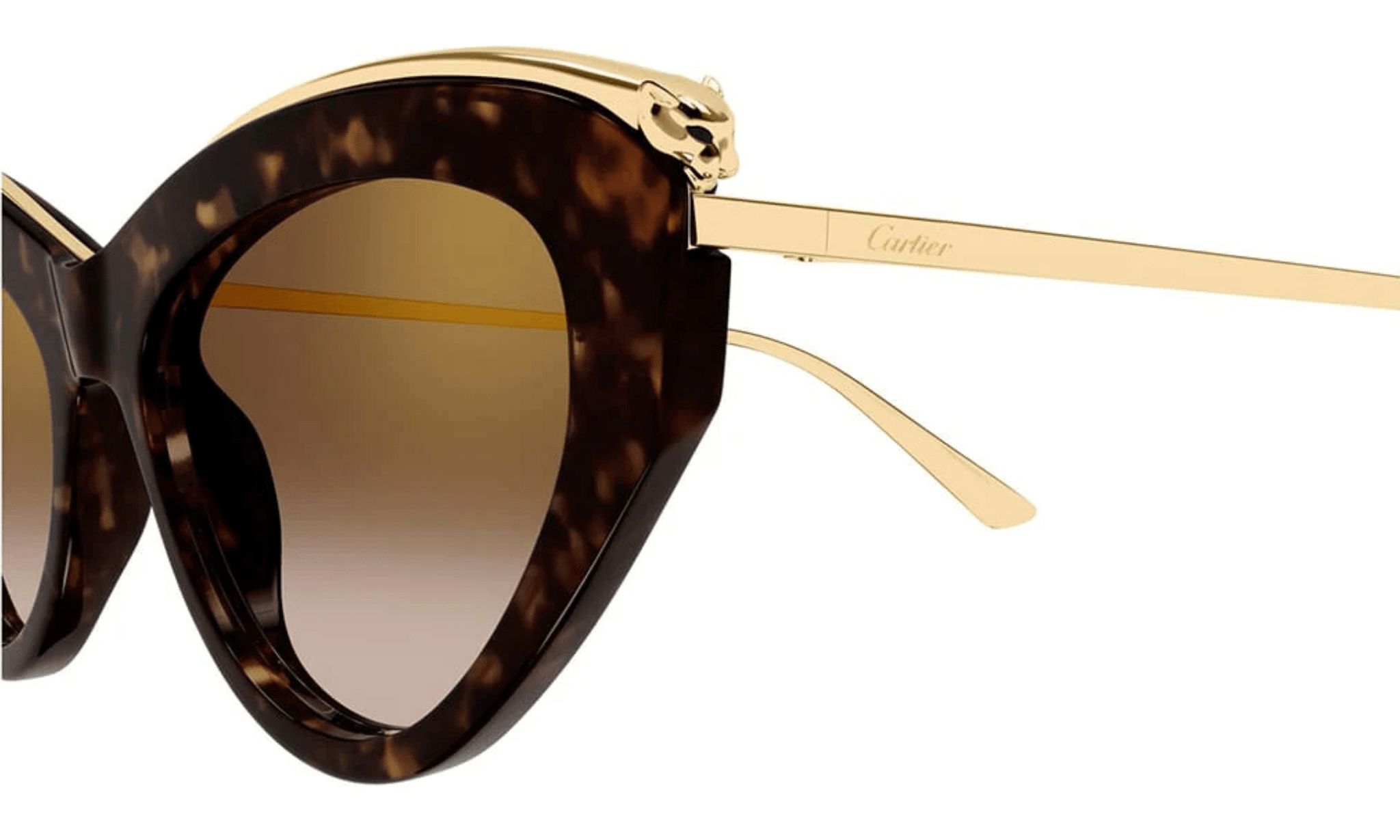 CARTIER CT 0596 - Jorge Oculista